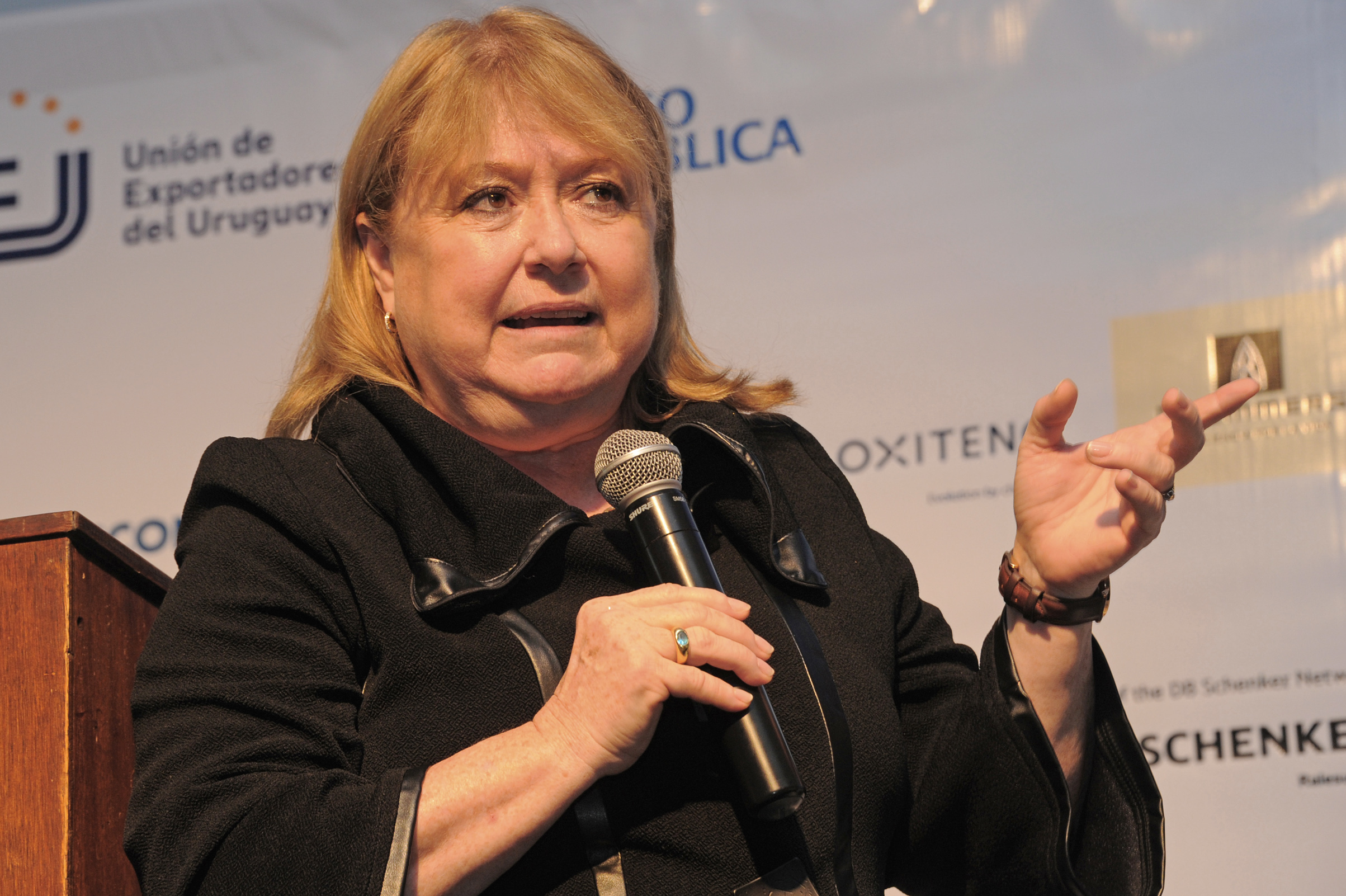 Susana Malcorra, canciller de la República Argentina, haciendo uso de la palabra