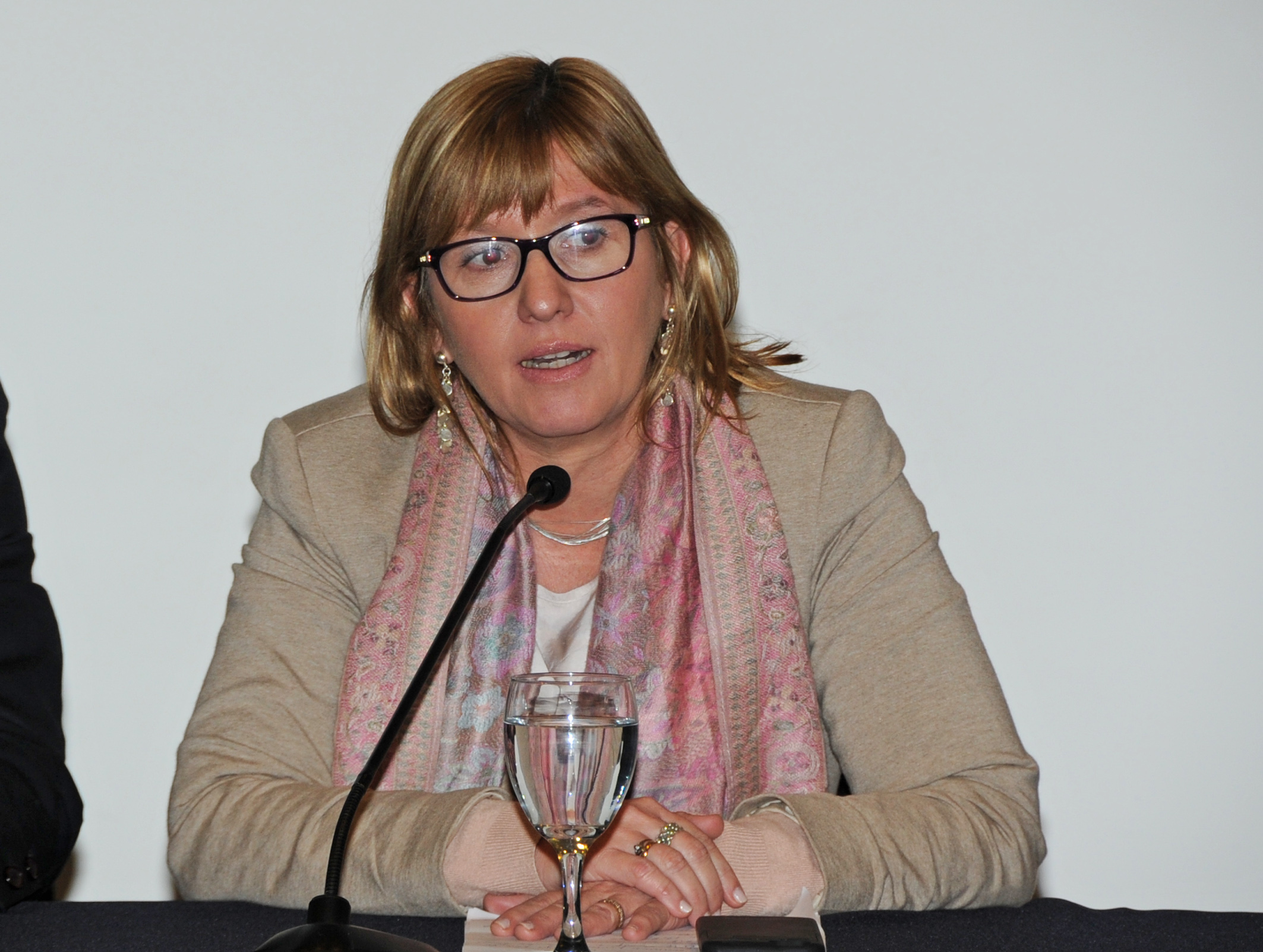 Subsecretaria de Salud Pública, Cristina Lustemberg, dirigiéndose a los presentes