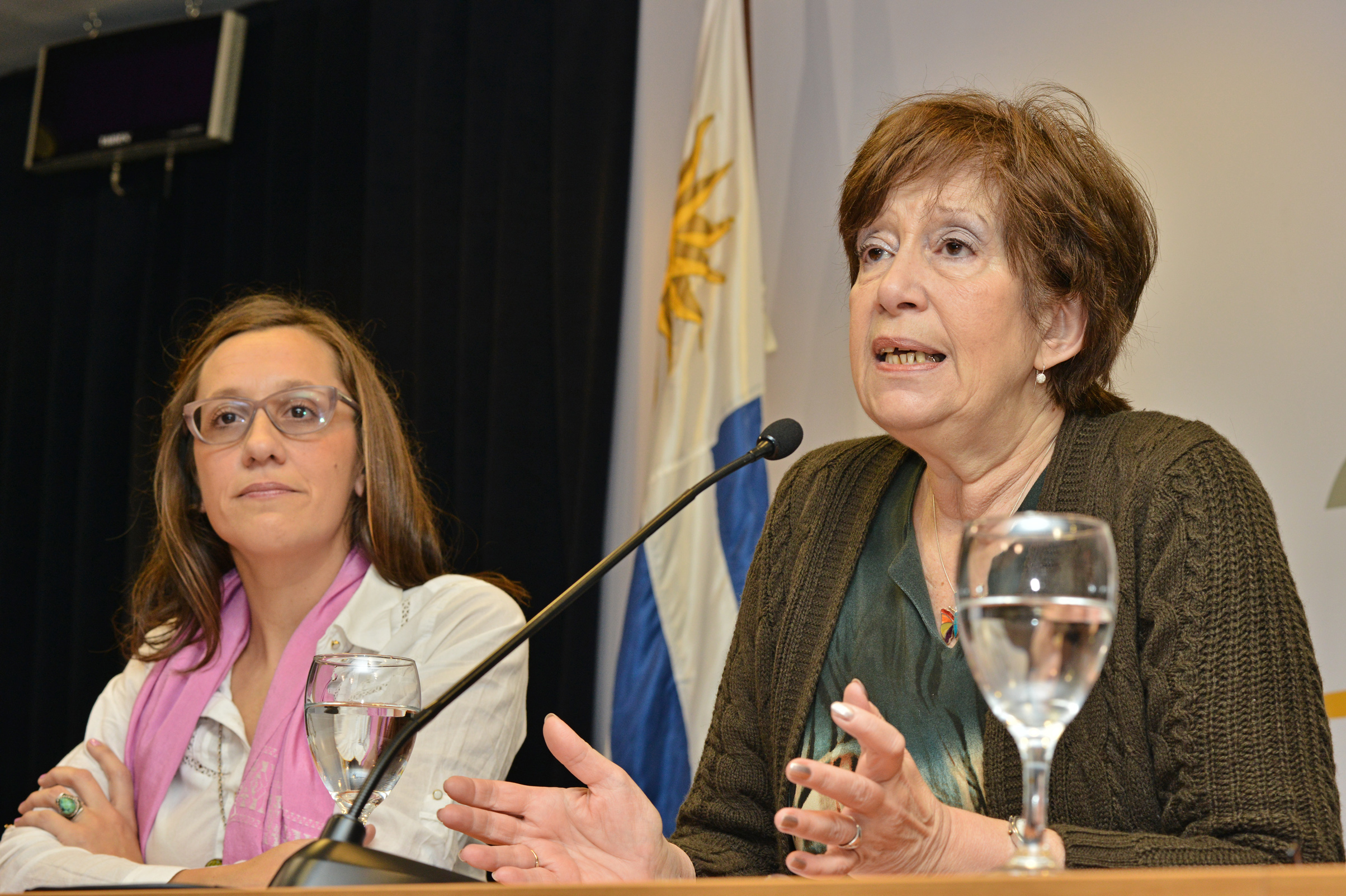 Ministra de Desarrollo Social, Marina Arismendi, haciendo uso de la palabra