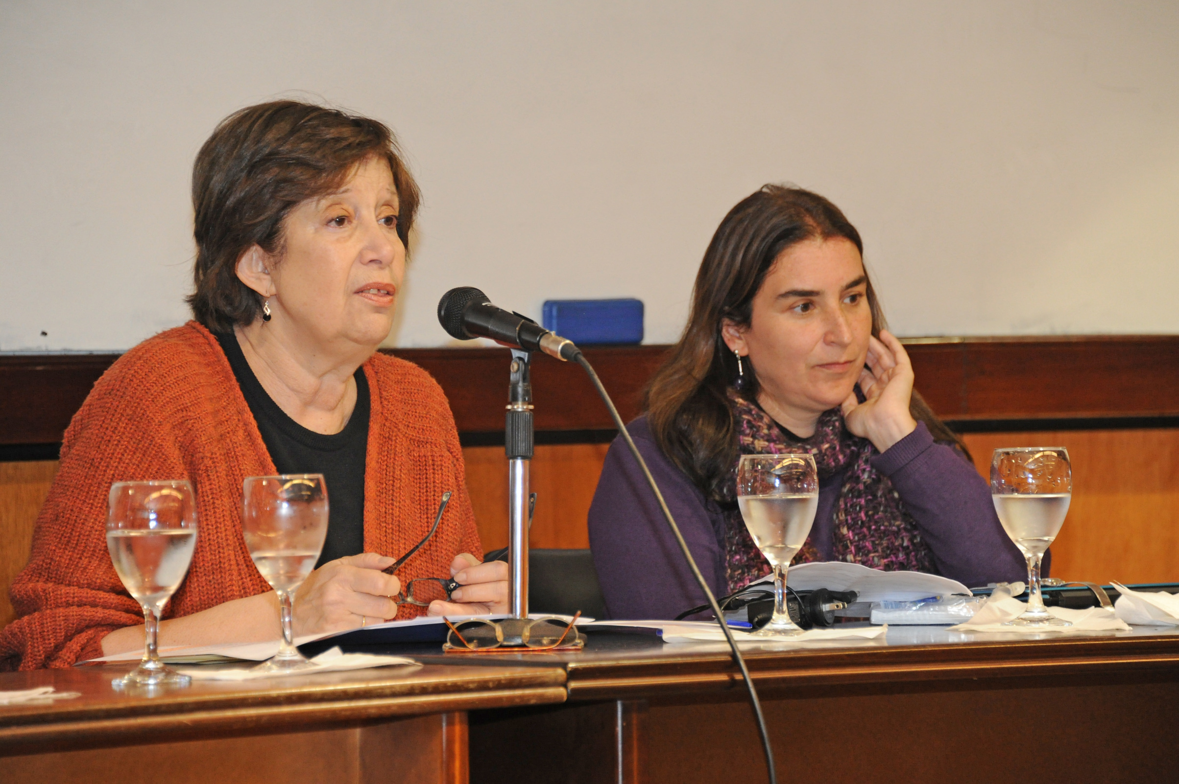 Ministra Marina Arismendi haciendo uso de la palabra