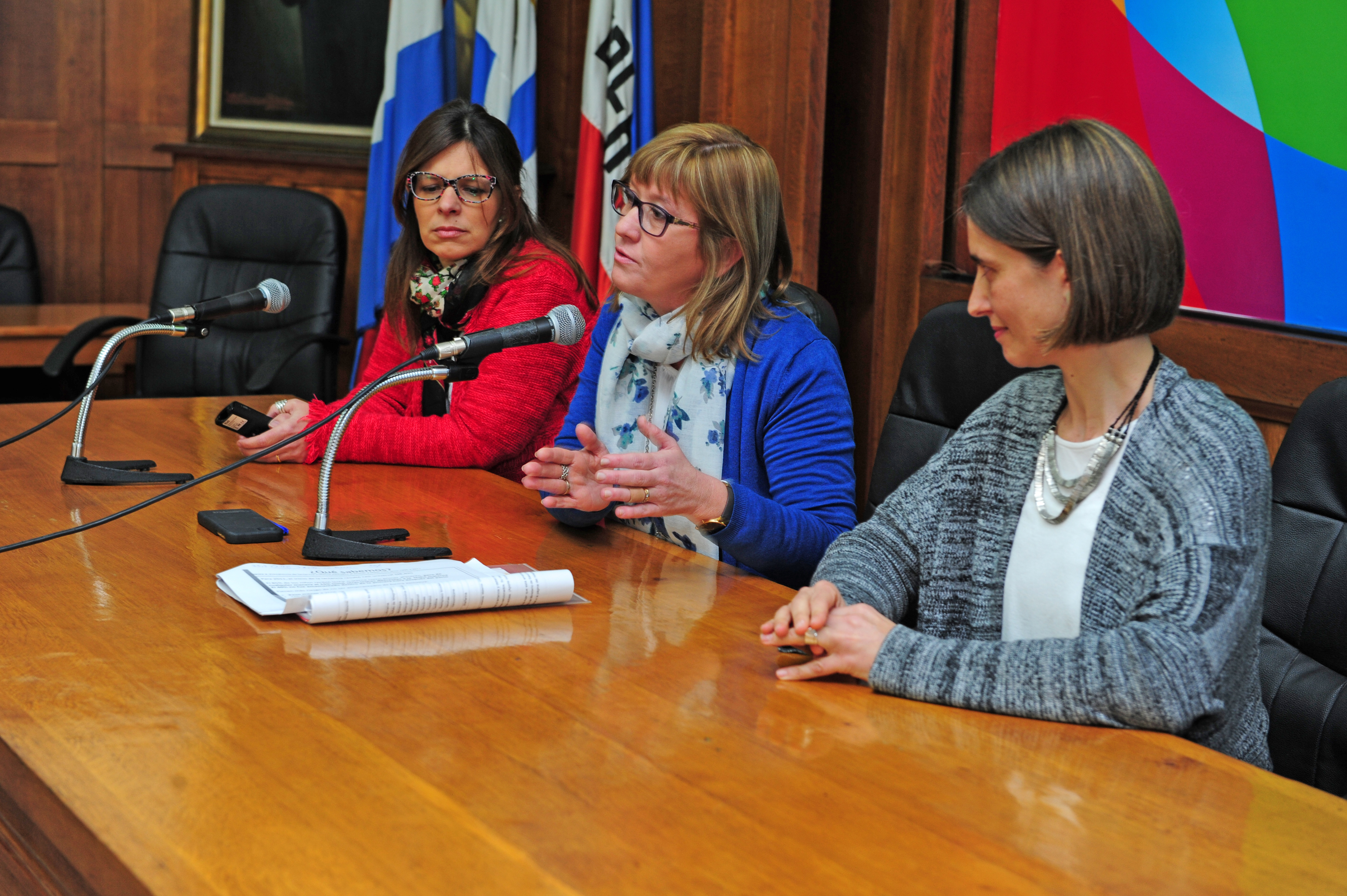 Subsecretaria de Salud Pública, Cristina Lustemberg, haciendo uso de la palabra