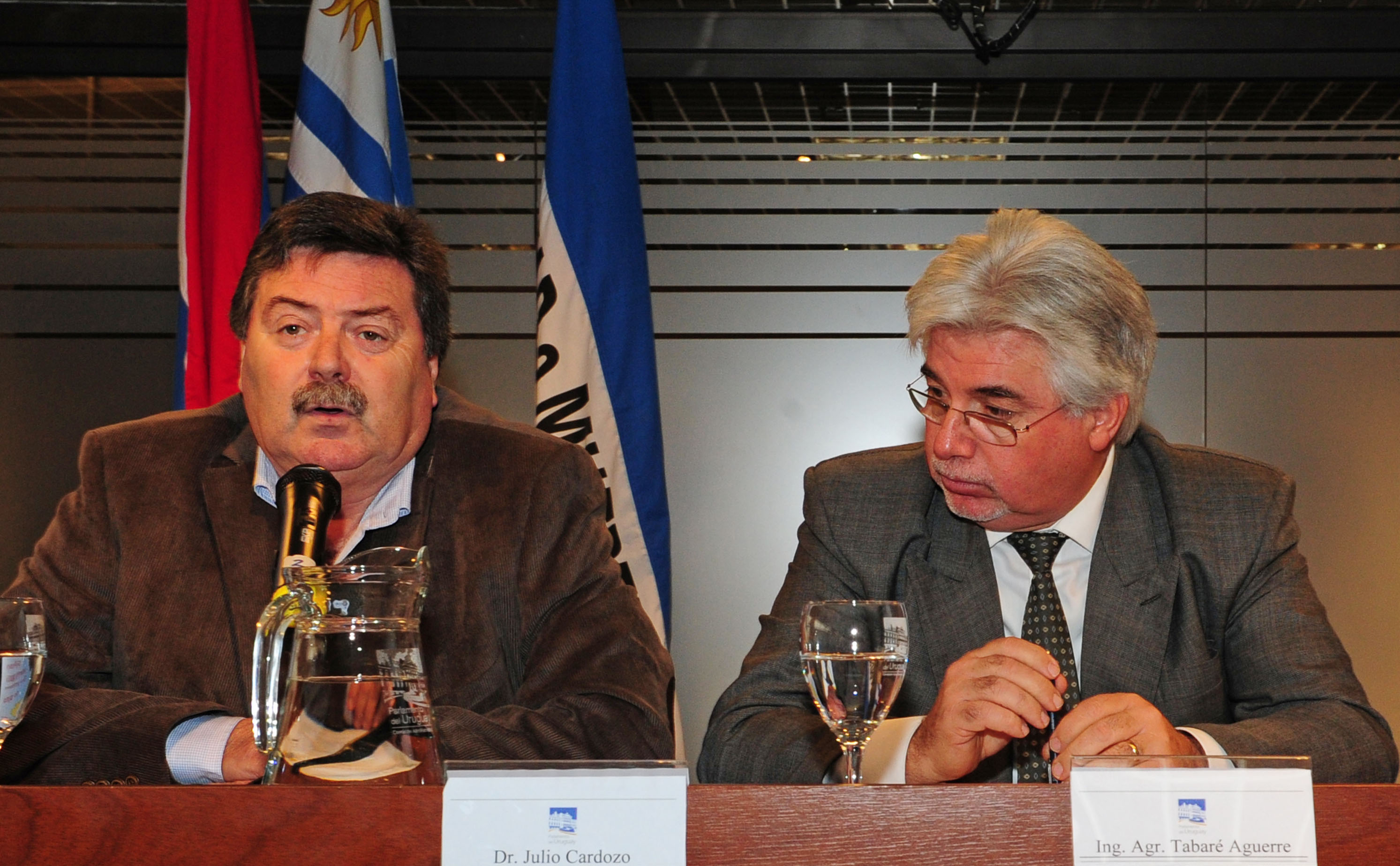 Integrante de la comisión de ganadería del parlamento, Julio Cardozo