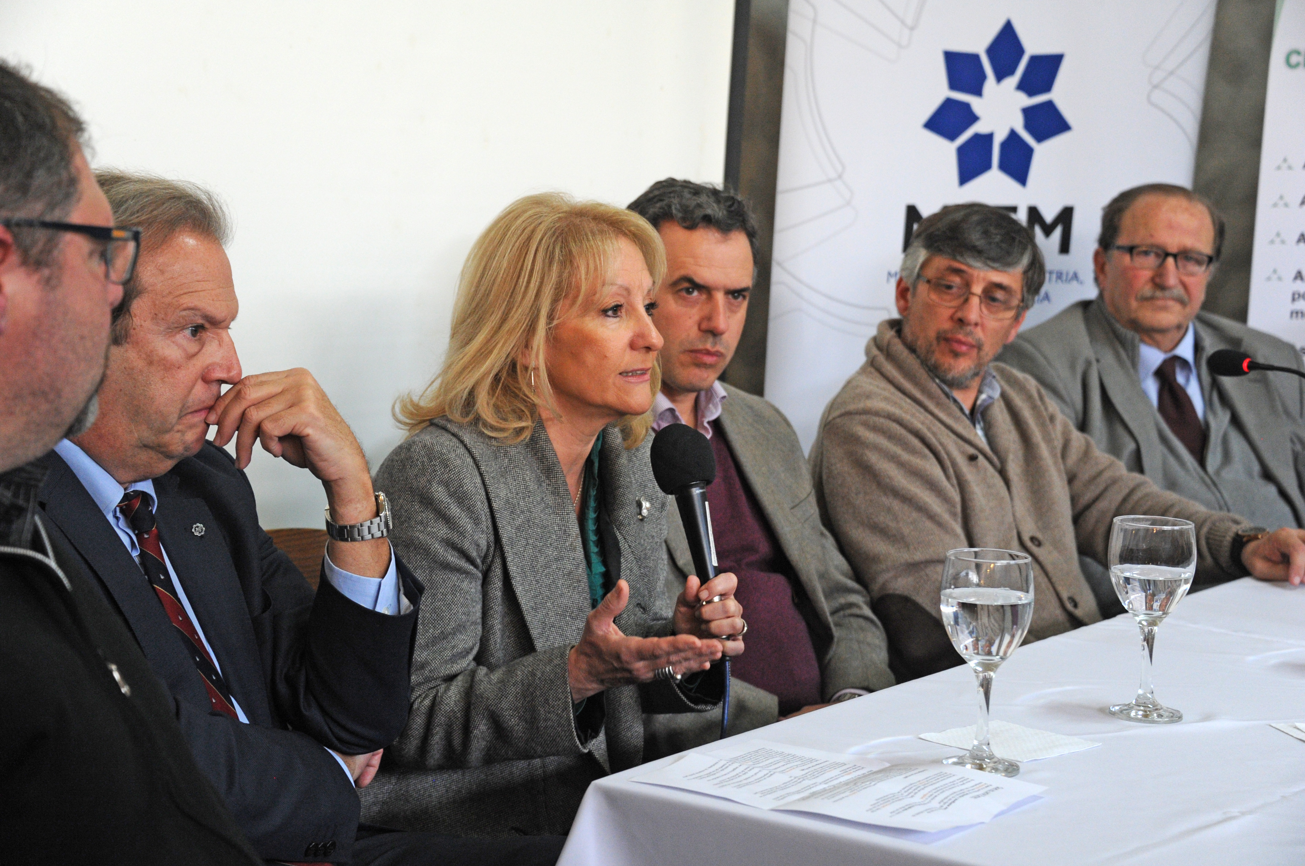 Ministra de Industria, Energía y Minería, Carolina Cosse, haciendo uso de la palabra