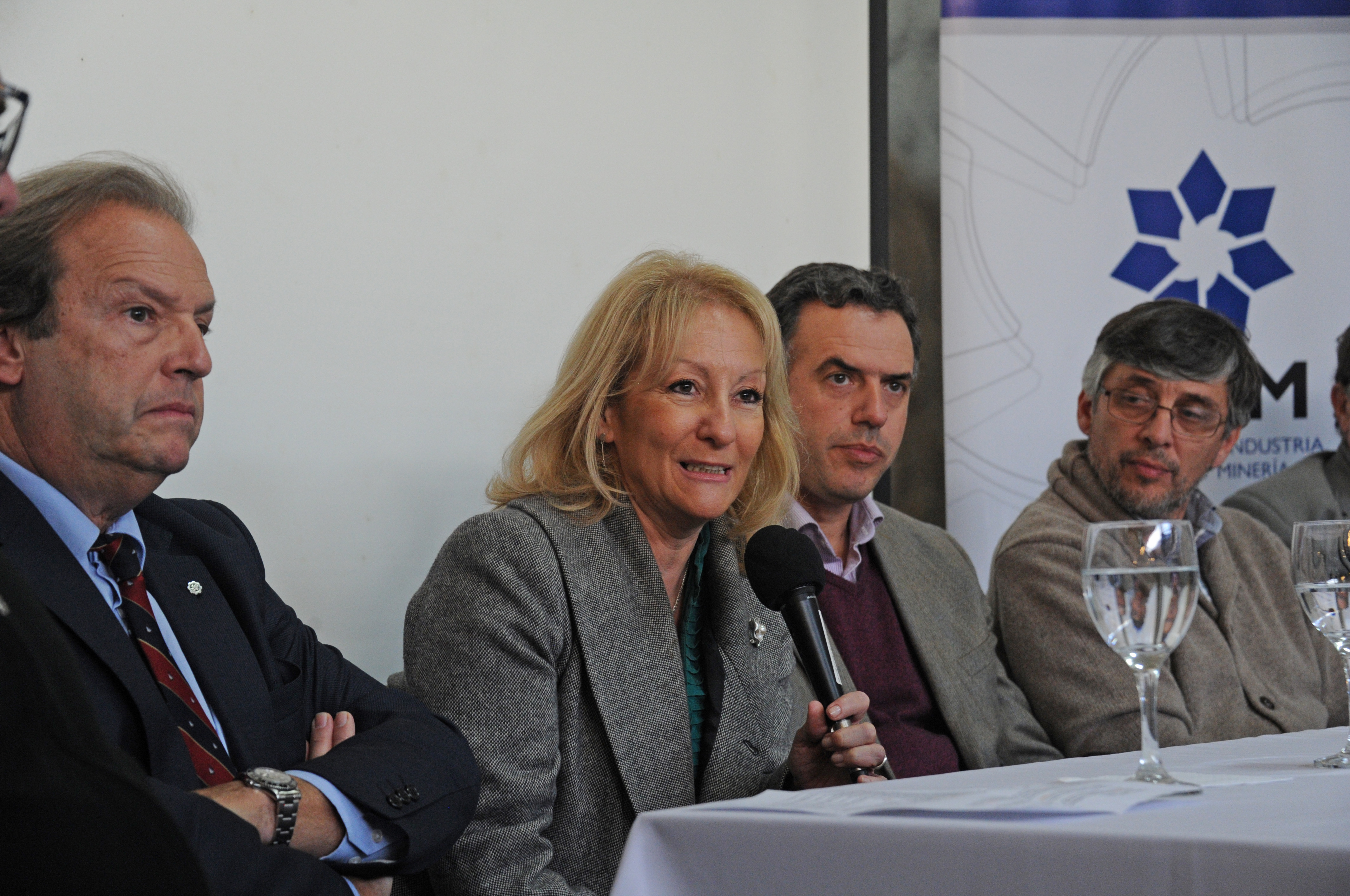 Ministra de Industria, Energía y Minería, Carolina Cosse, haciendo uso de la palabra