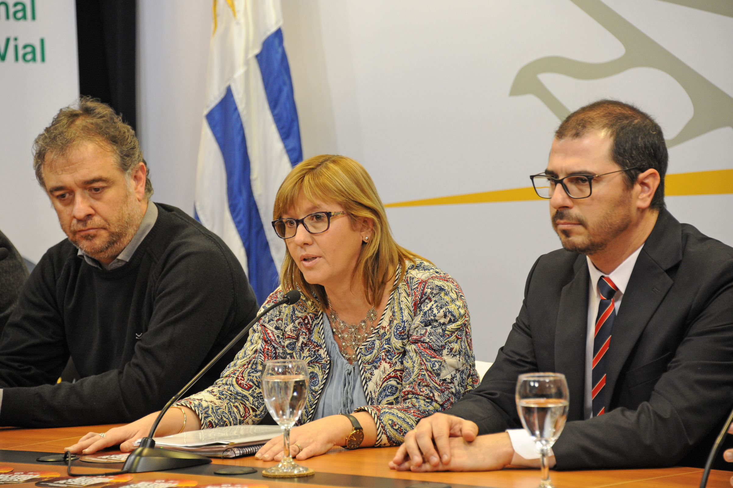 Subsecretaria de Salud Pública, Cristina Lustemberg, haciendo uso de la palabra