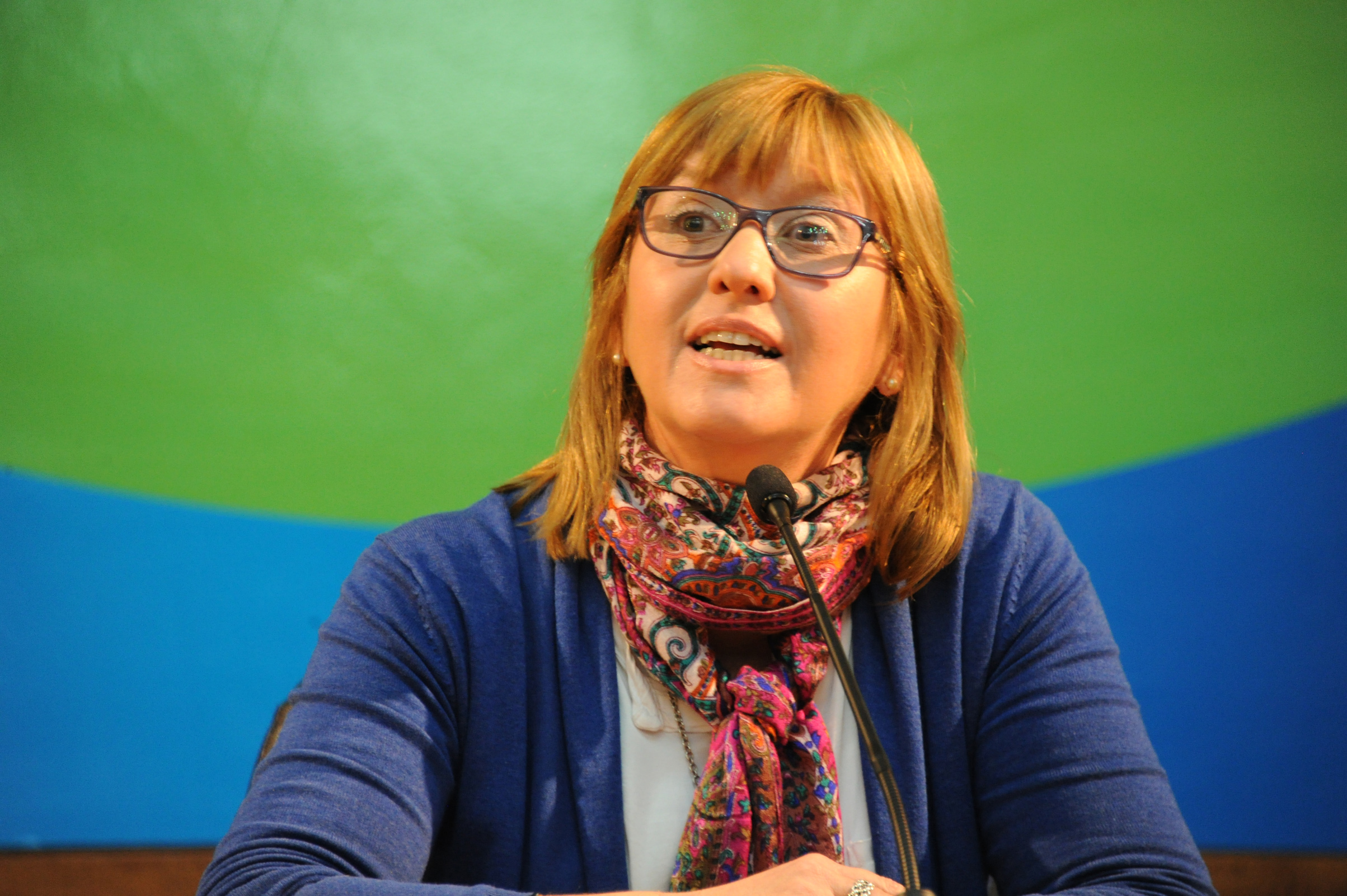 Subsecretaria de Salud Pública, Cristina Lustemberg, haciendo uso de la palabra