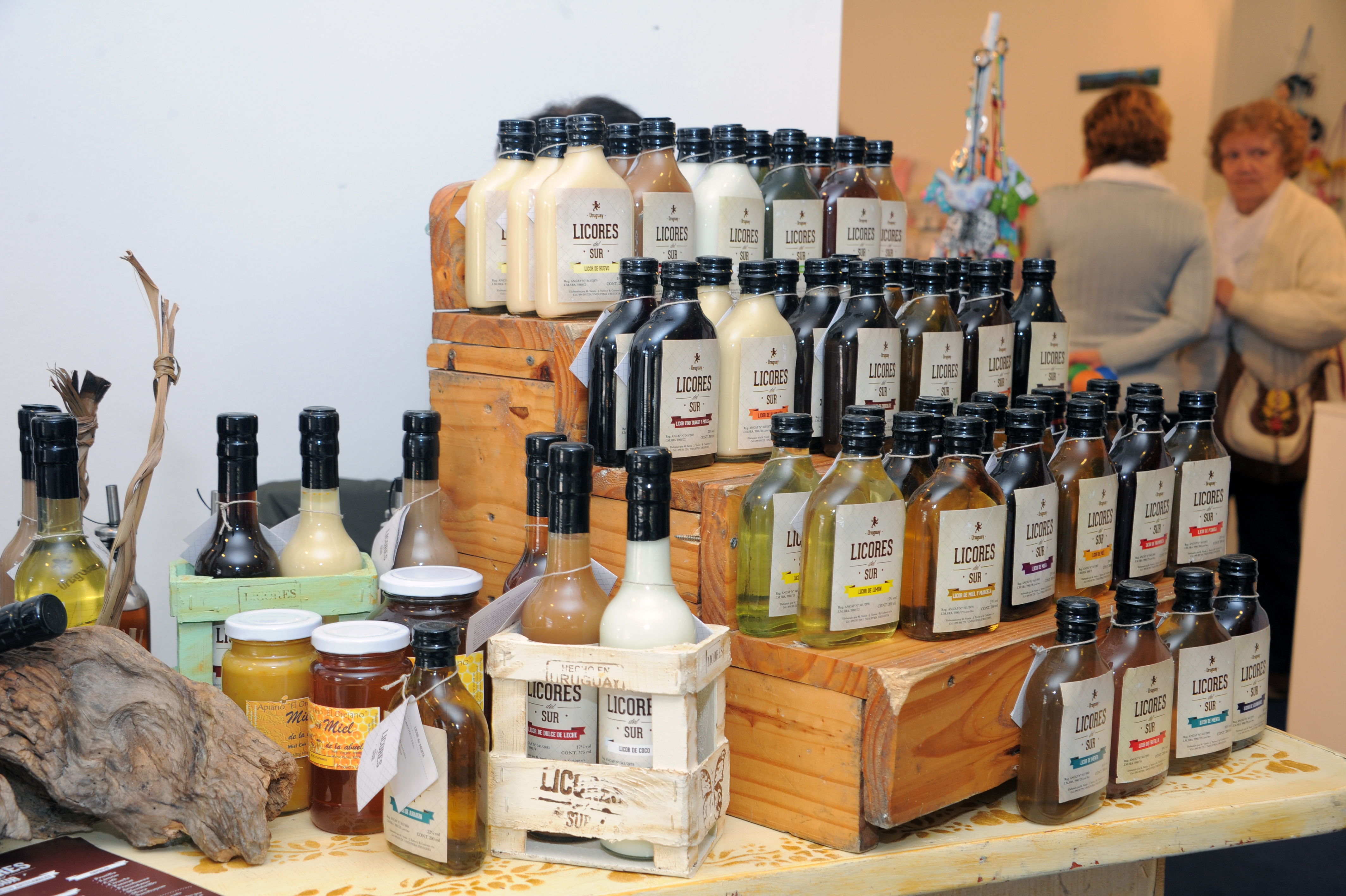 Estand del Mides en la Expo Prado 2016