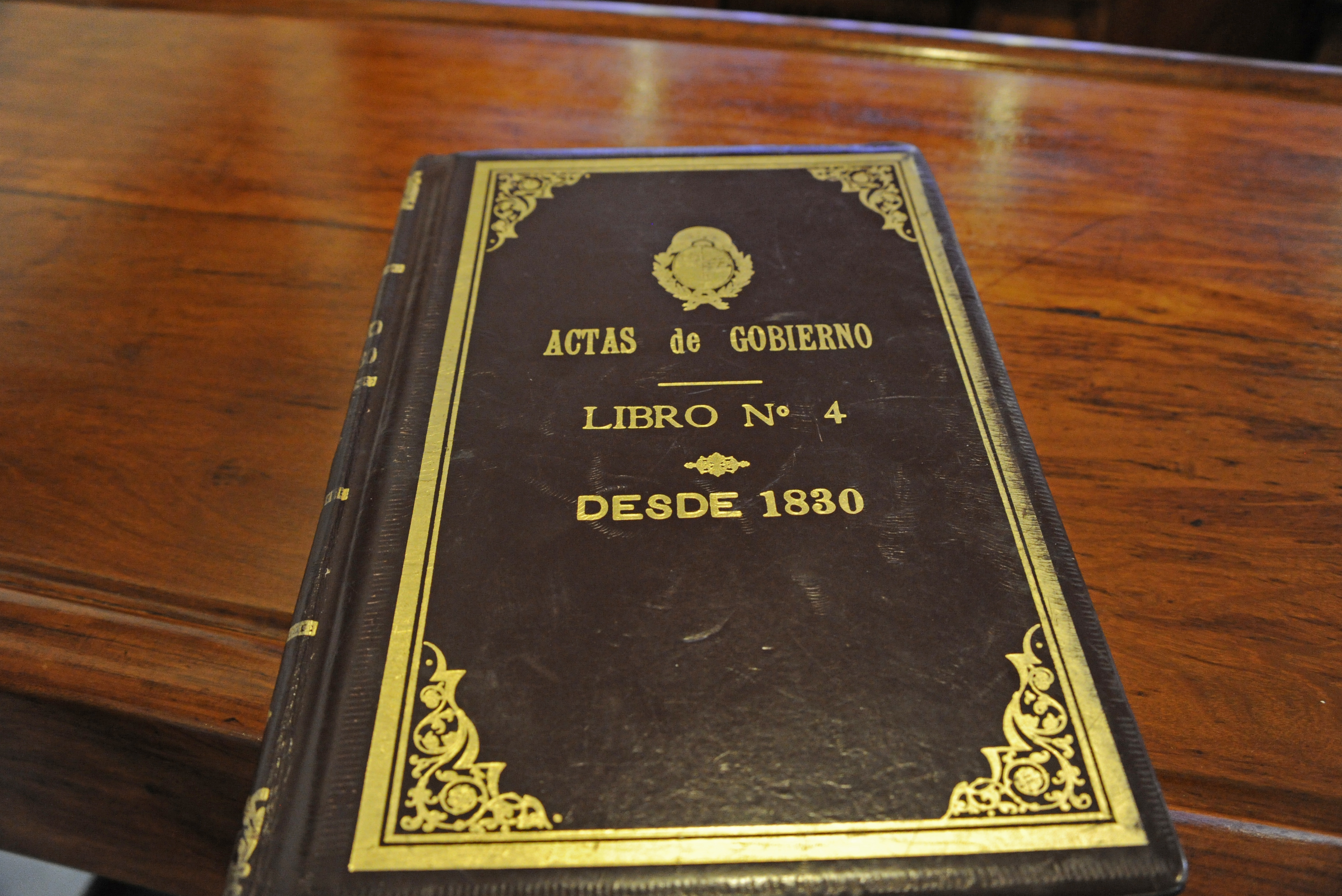 Libro de Actas de Gobierno