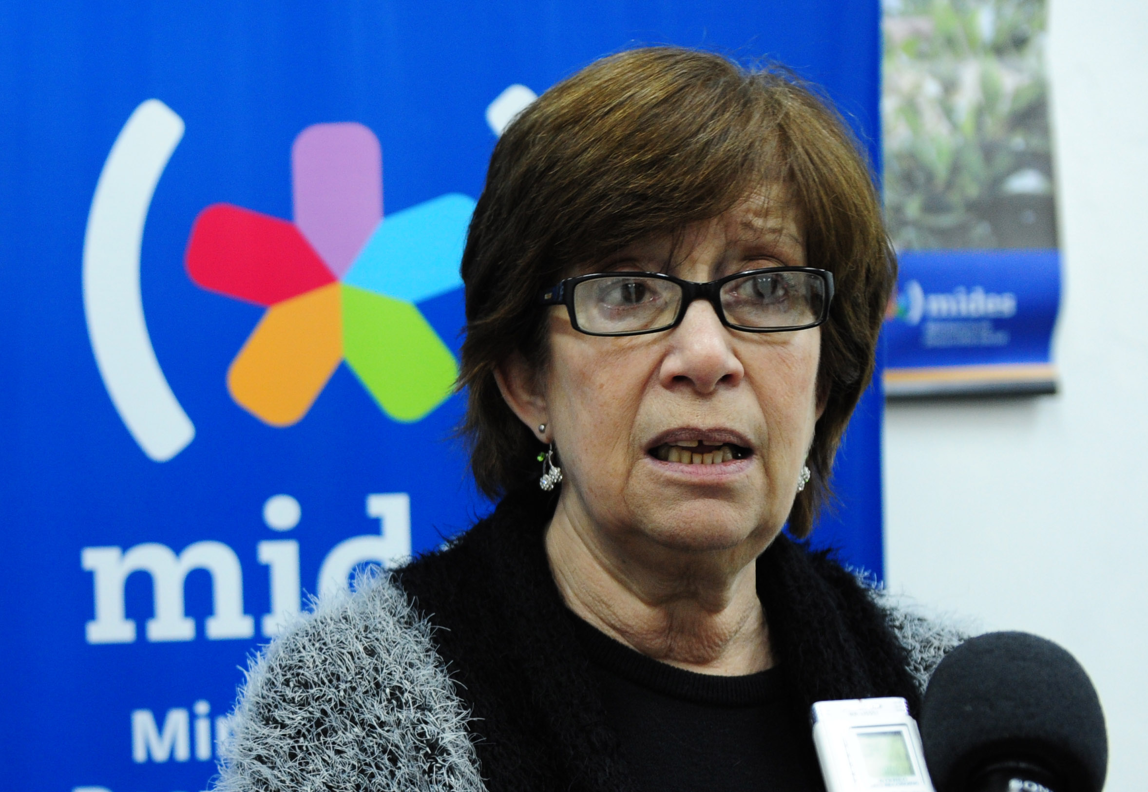 Ministra de Desarrollo Social, Marina Arismendi conversa con la prensa