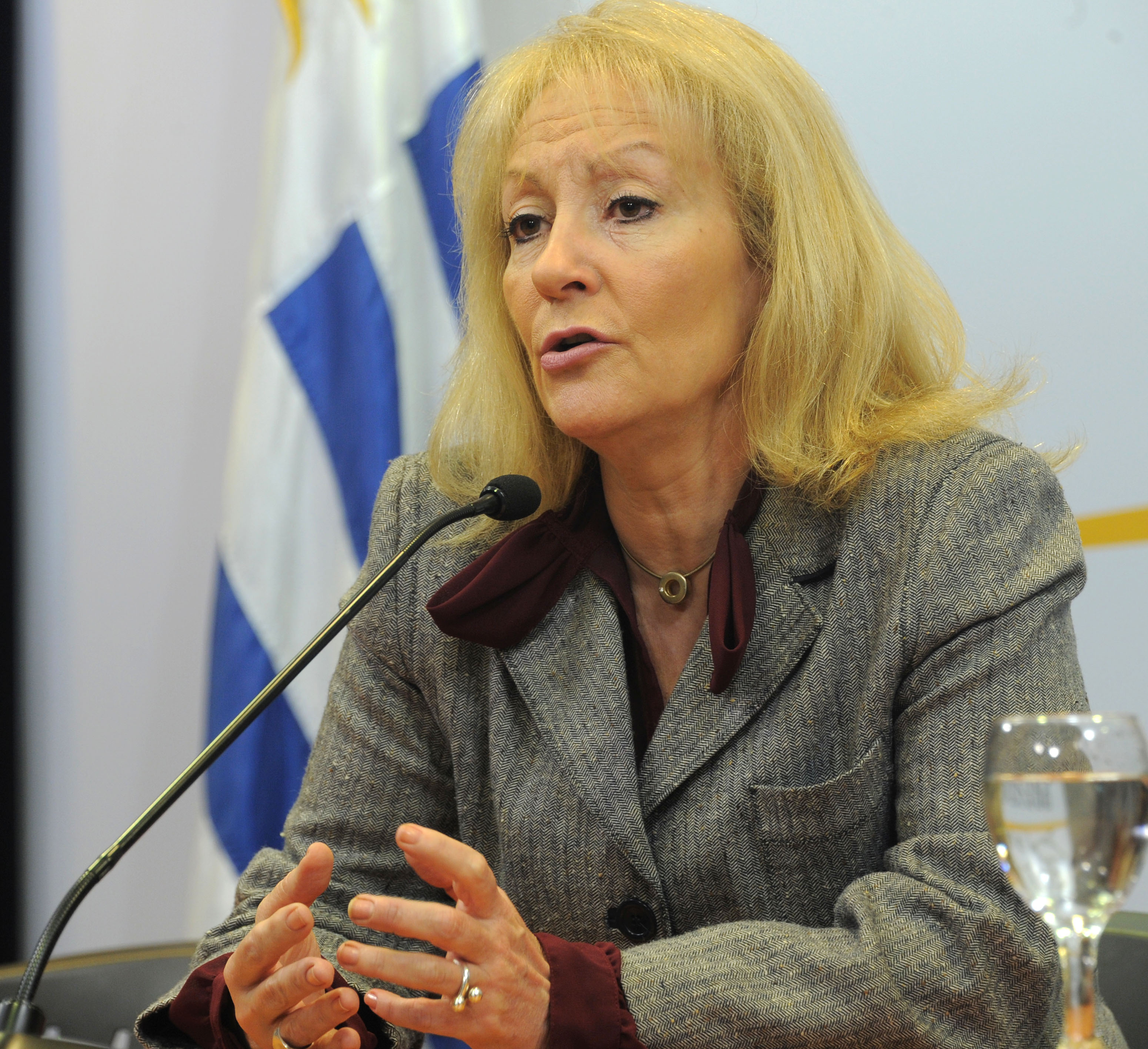 Ministra de Industria, Carolina Cosse