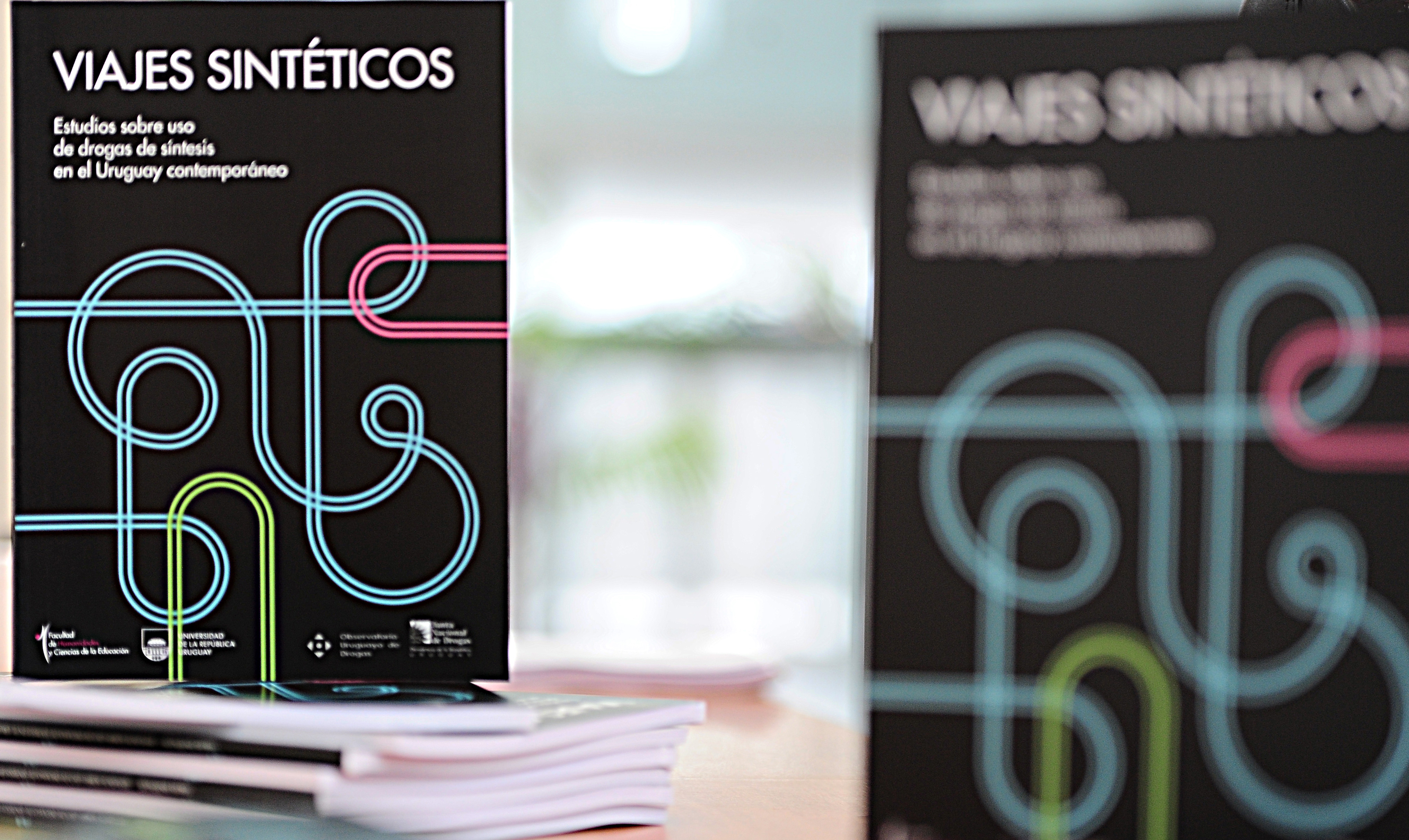 Libro Viajes Sintéticos