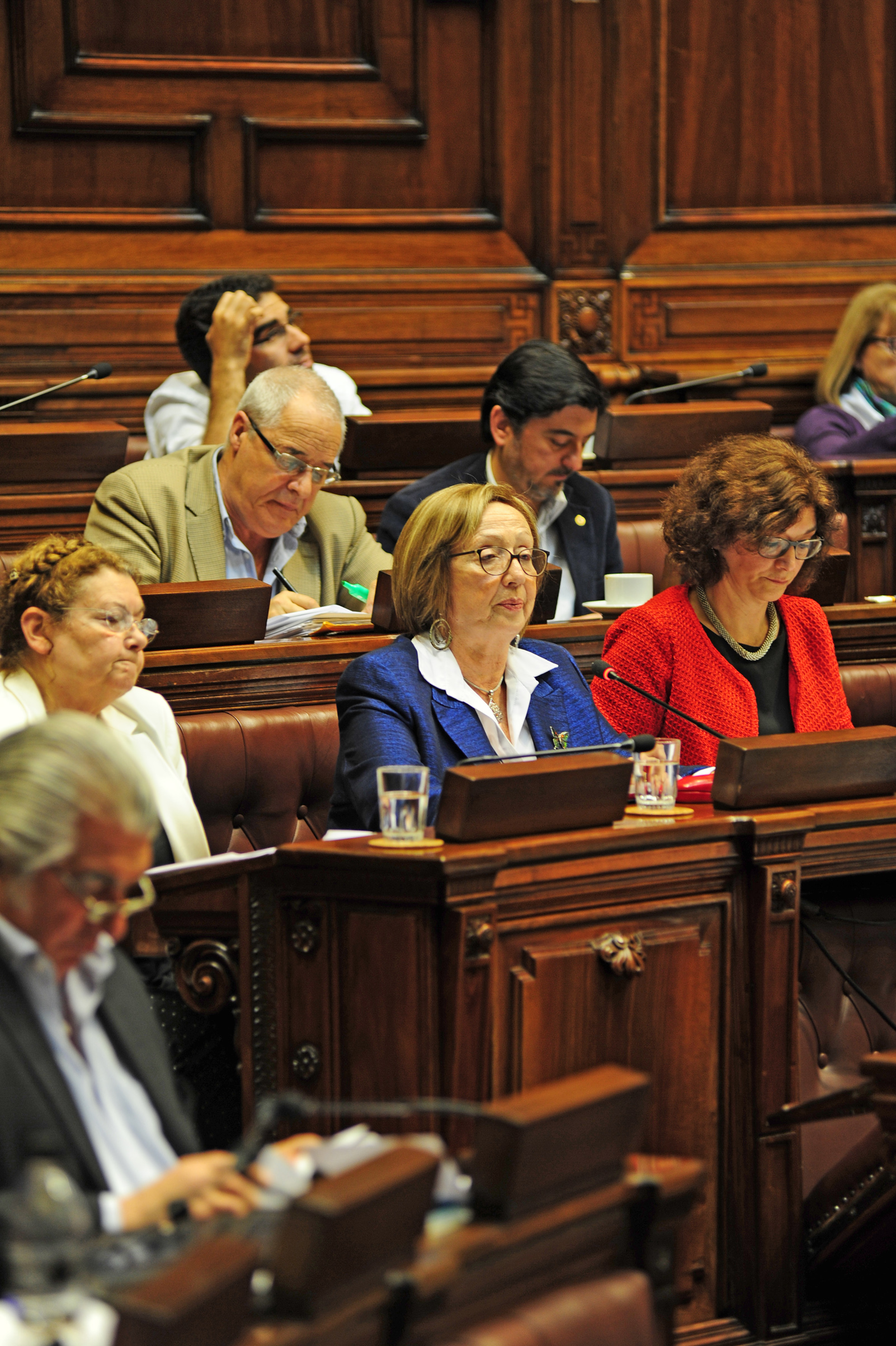 Ministra de Educación y Cultura, María Julia Muñoz, durante la interpelación en la Cámara de Diputados