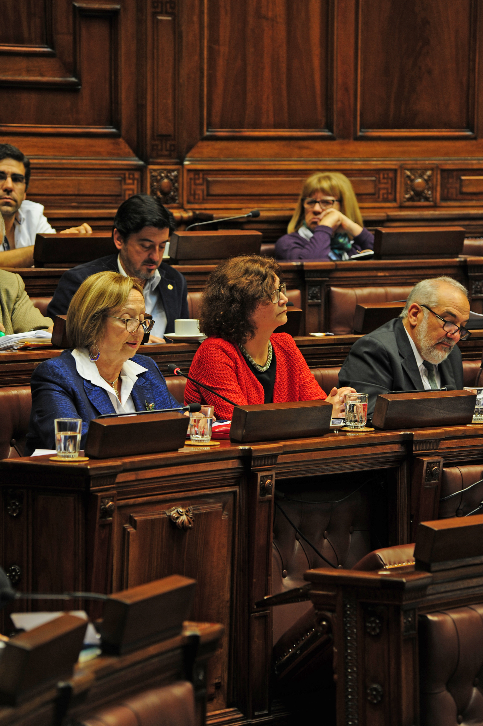 Ministra de Educación y Cultura, María Julia Muñoz, durante la interpelación en la Cámara de Diputados