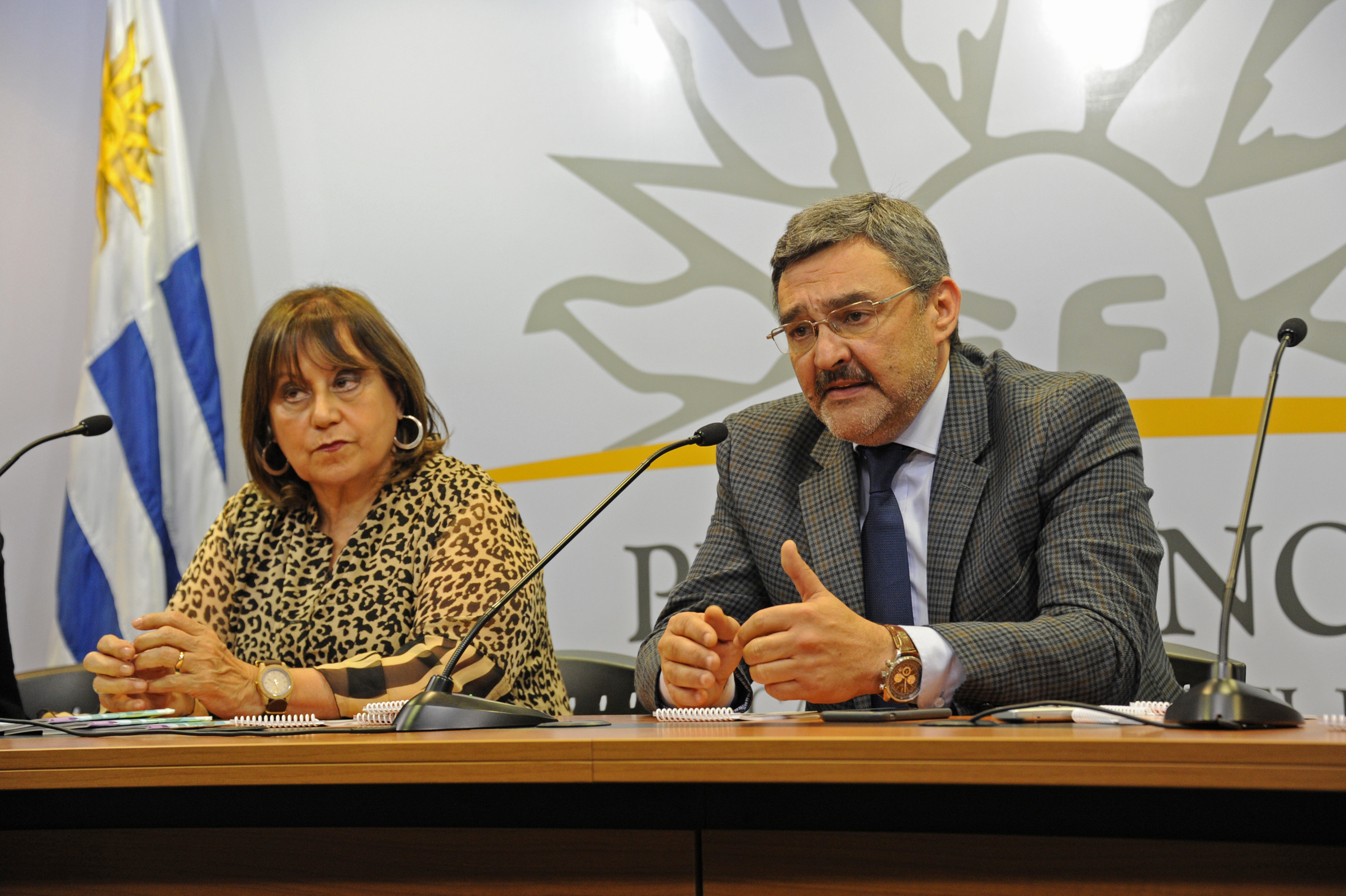 Diputado Luis Gallo, haciendo uso de la palabra