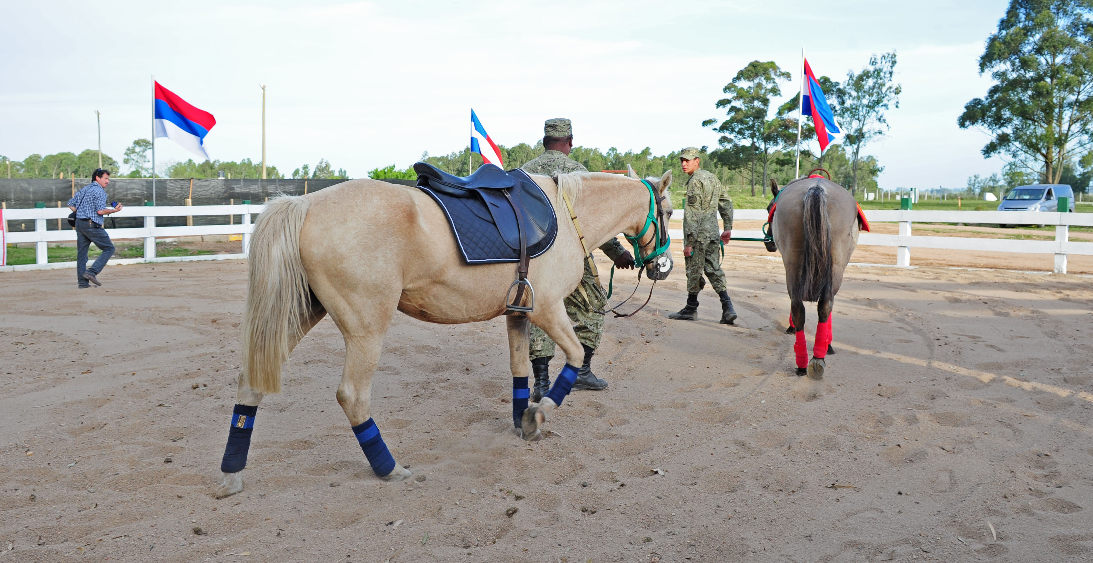 Exhibición de caballos