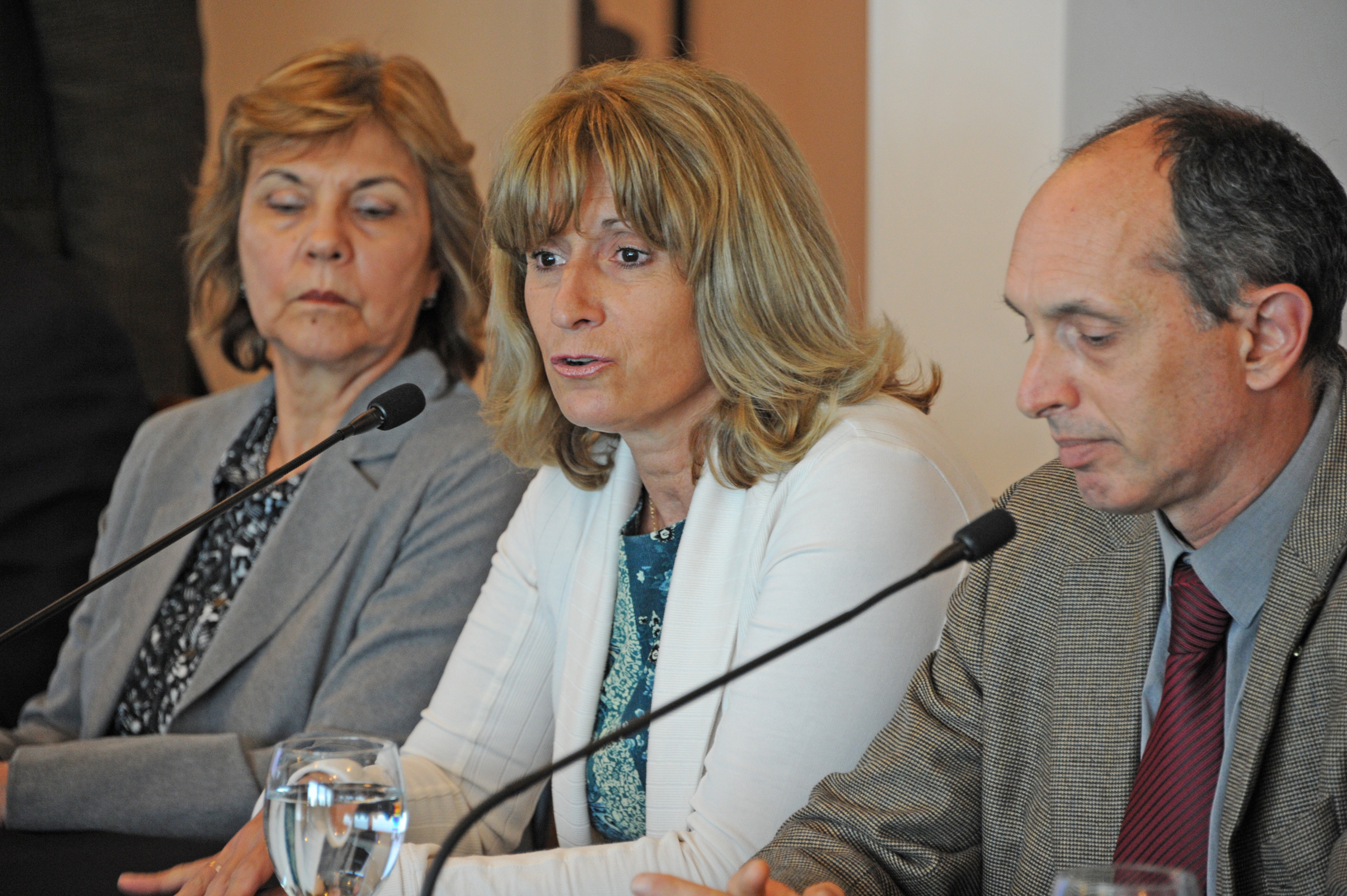 Directora Nacional de Energía, Olga Otegui, dirigiéndose a los presentes
