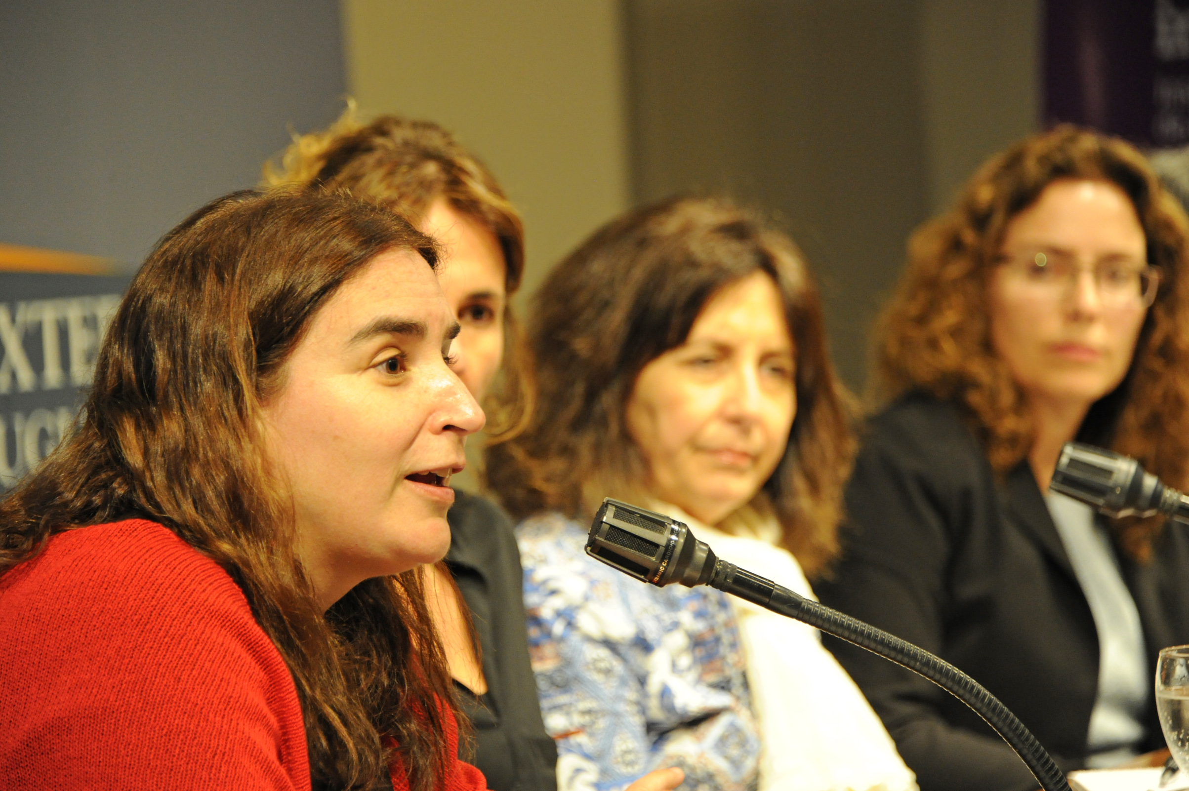Verónica Amarante, representante de CEPAL, haciendo uso de la palabra