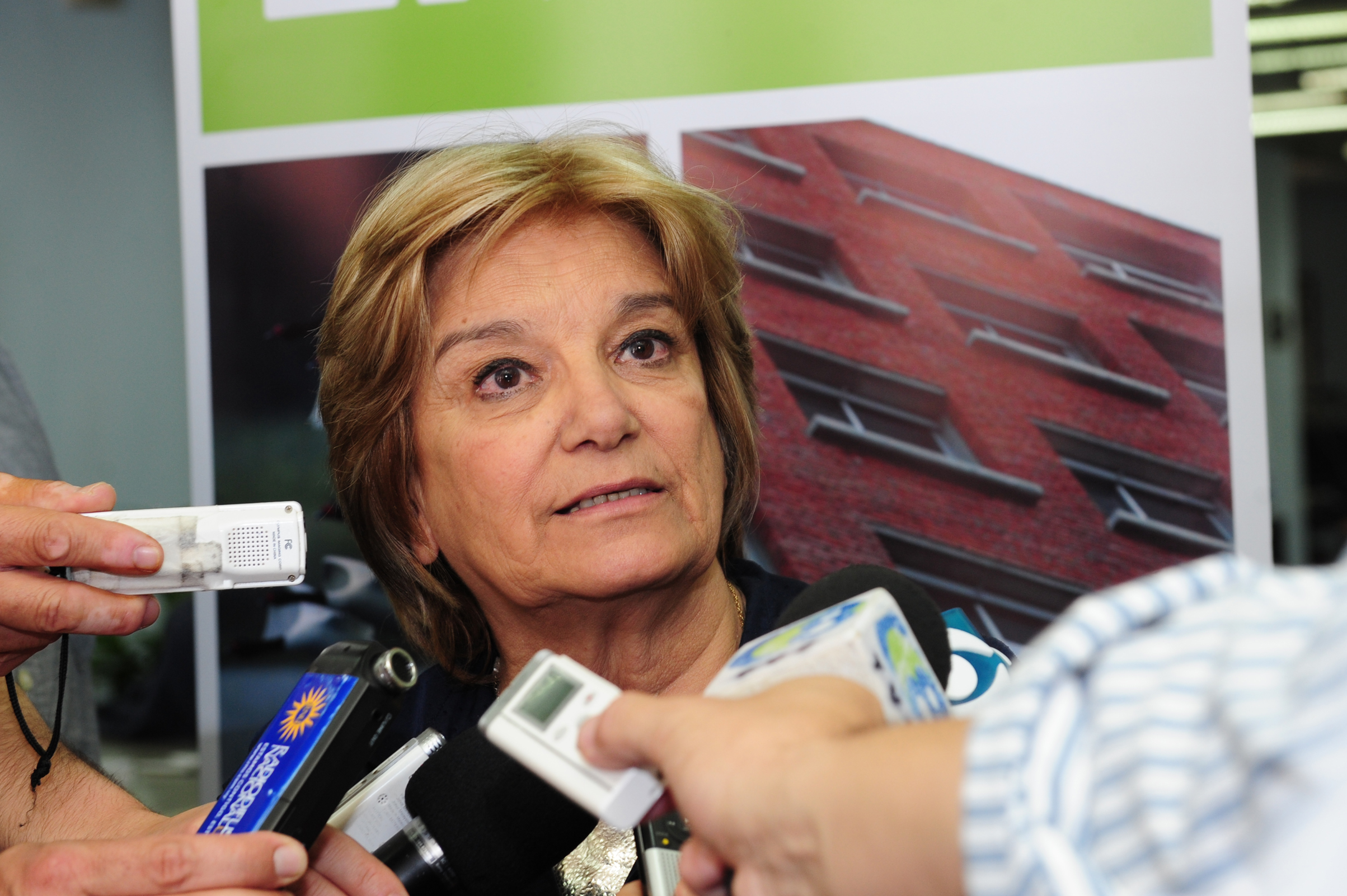Ministra de vivenda Eneida de León, dialoga con la prensa