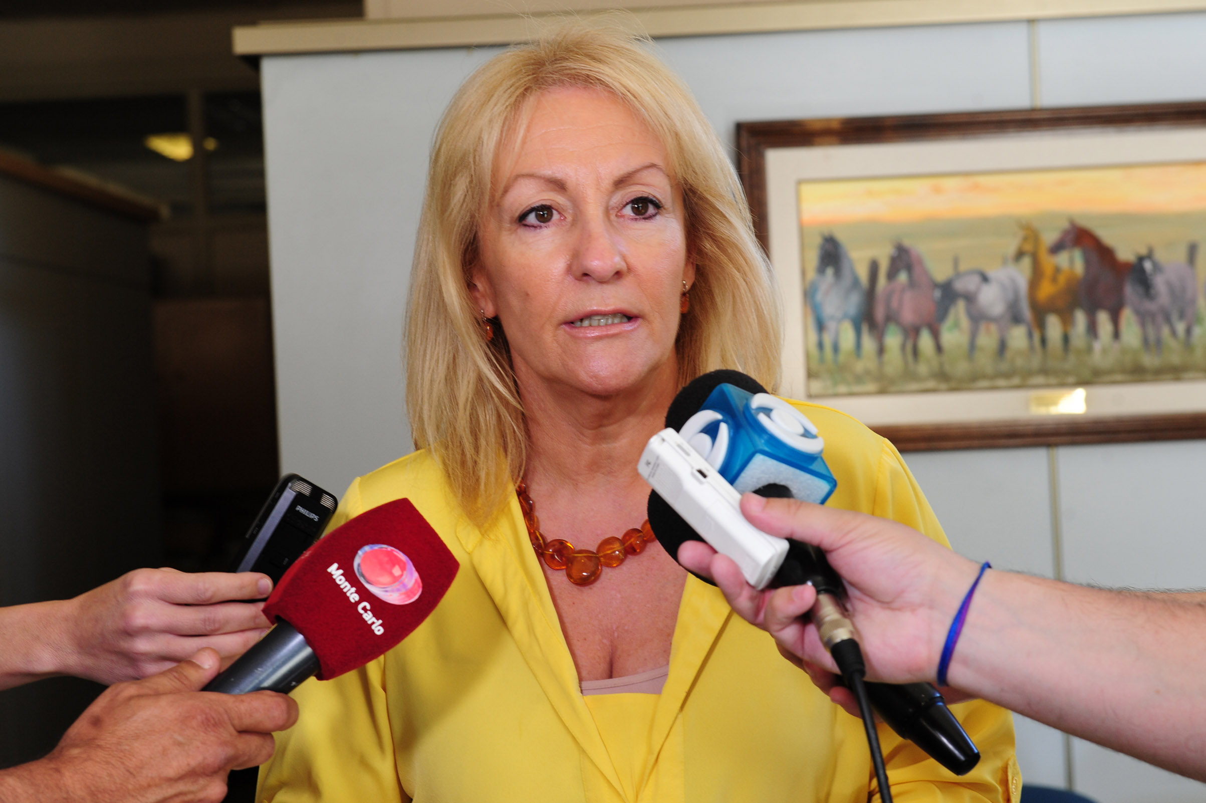 Ministra de Industria, Carolina Cosse, en Trinidad, Flores, diologa con la prensa