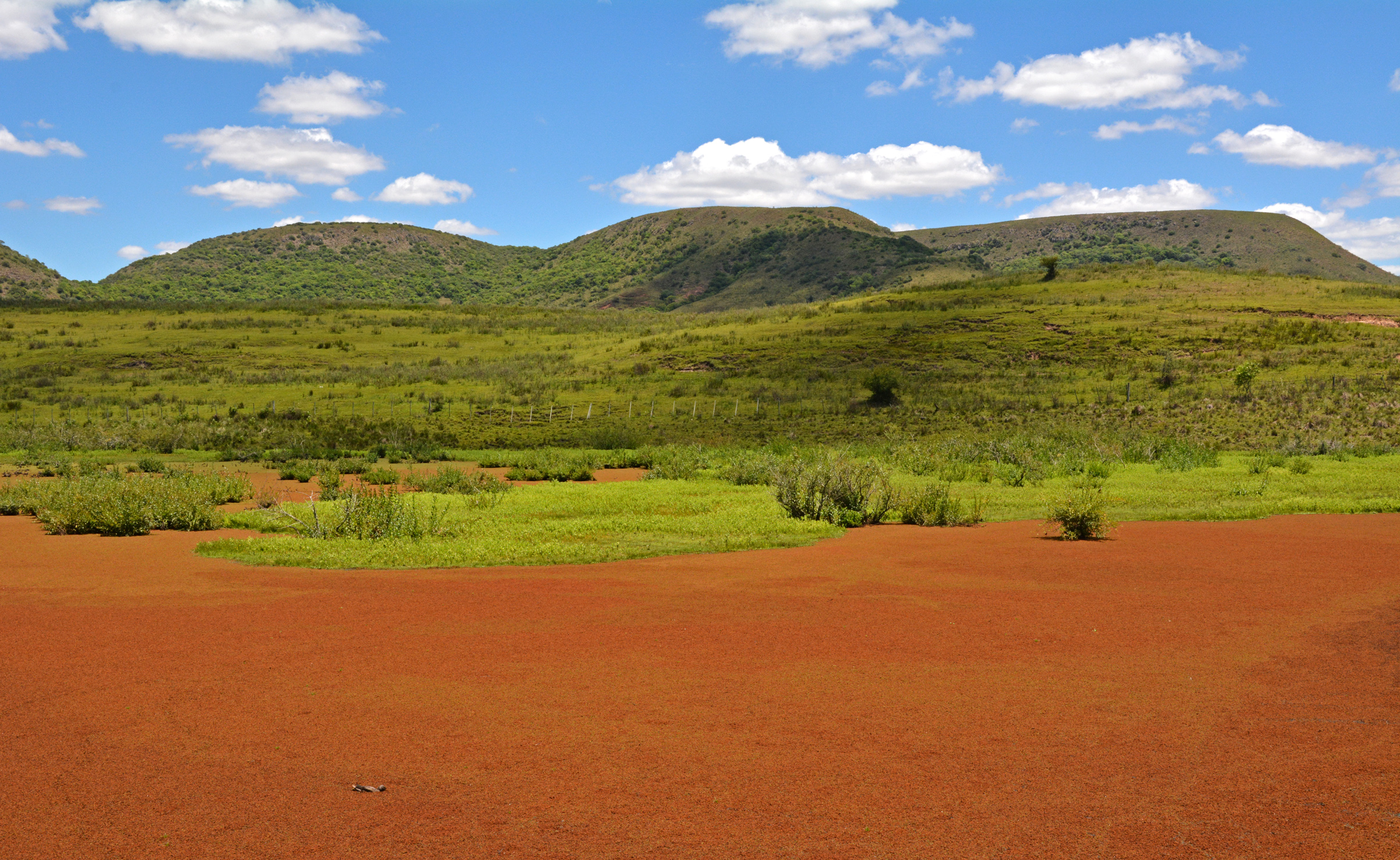 Valle del Lunarejo en Rivera