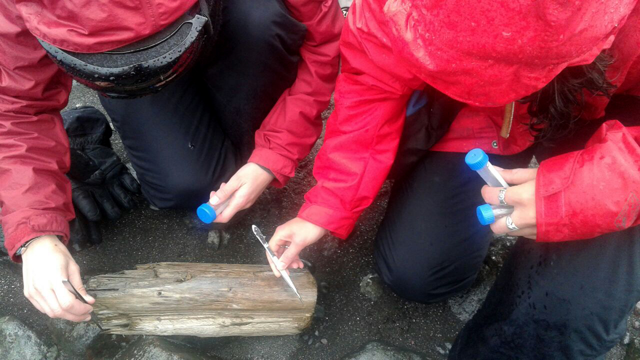 Toma de muestras para análisis en los laboratorios de la Base Científica Antártica Artigas