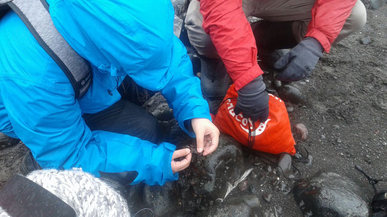Toma de muestras para análisis en los laboratorios de la Base Científica Antártica Artigas