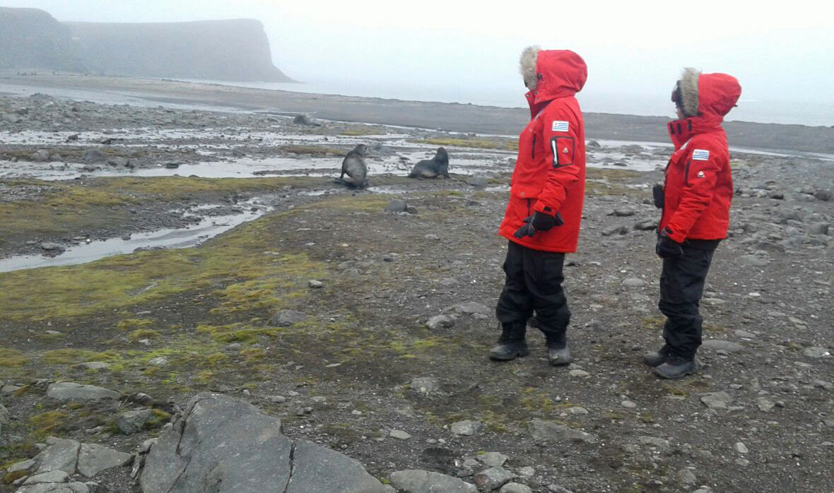 Recorrida por el entorno a la Base Científica Antártica Artigas