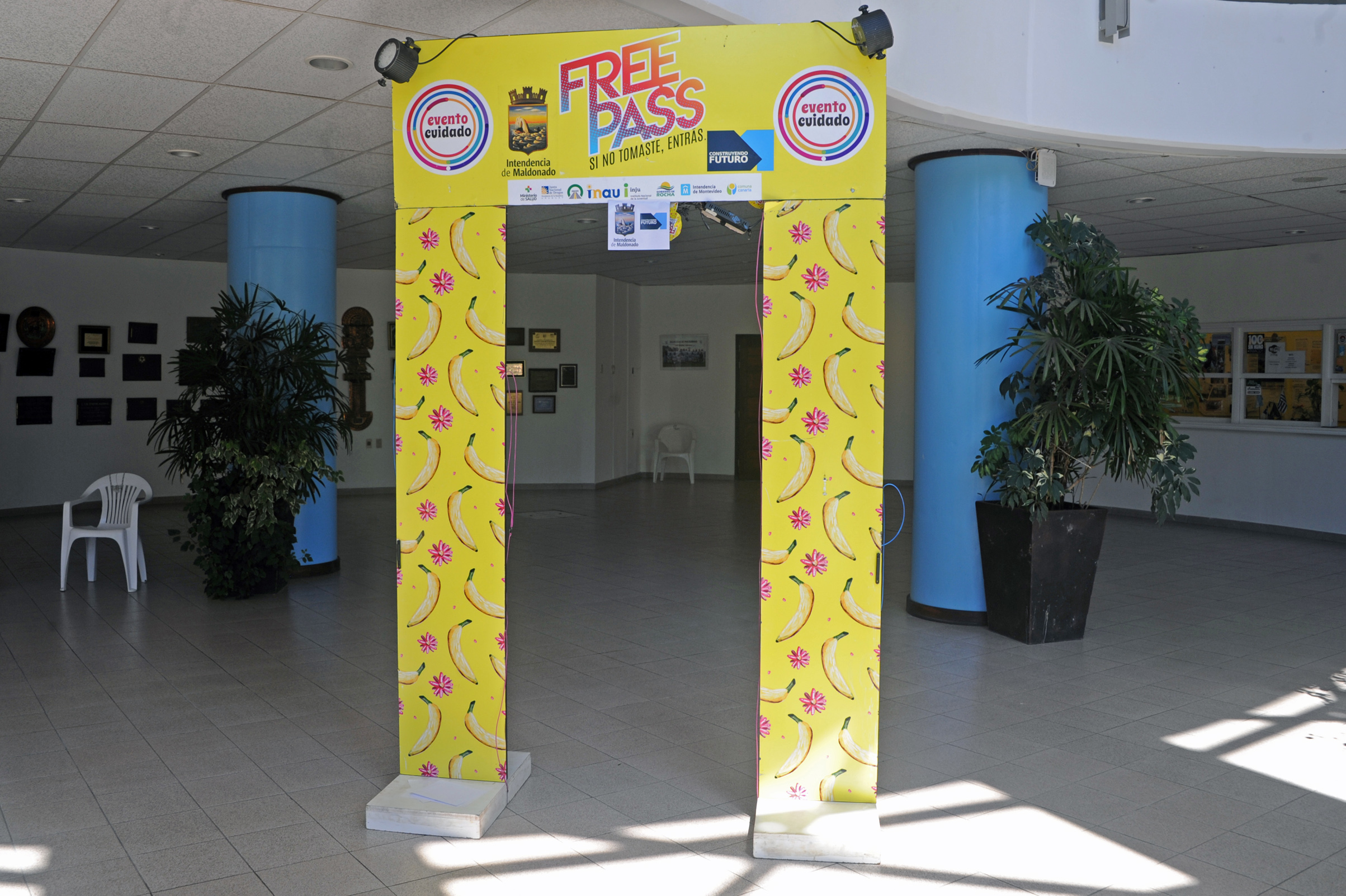 Campaña Free Pass