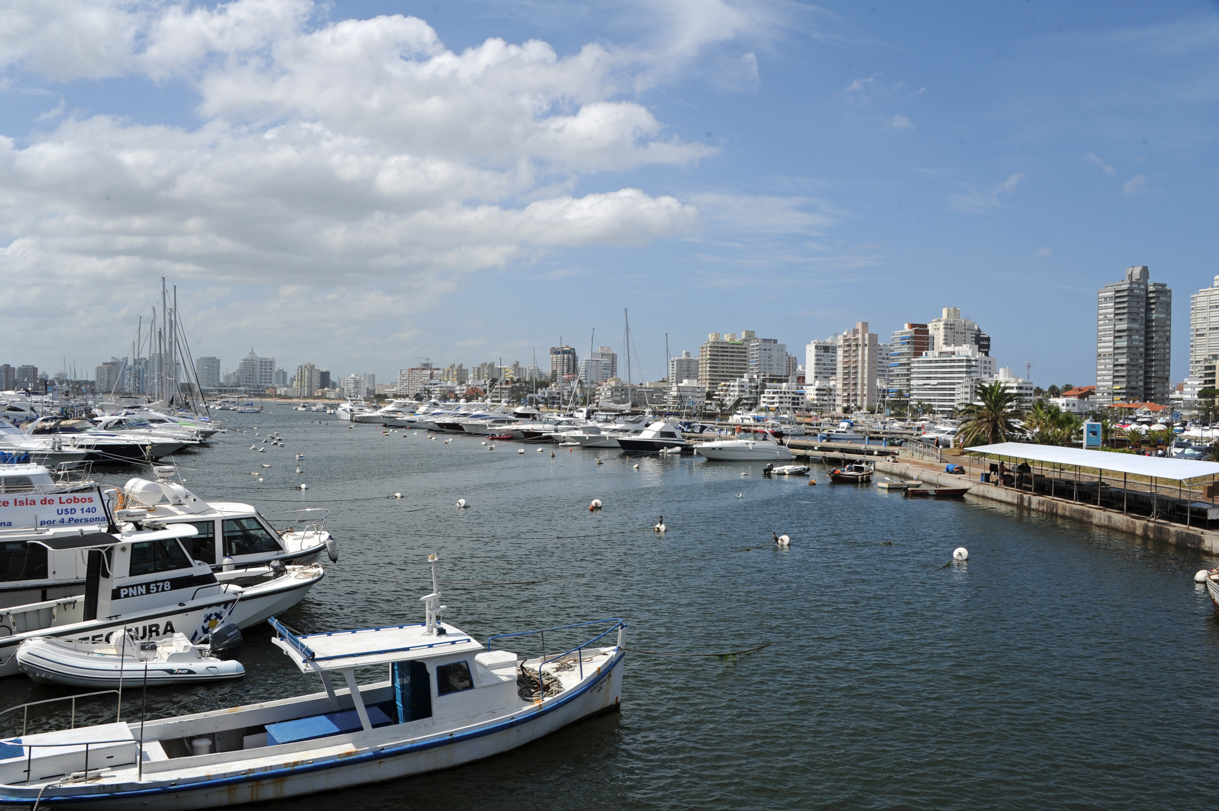 Puerto de Punta del Este