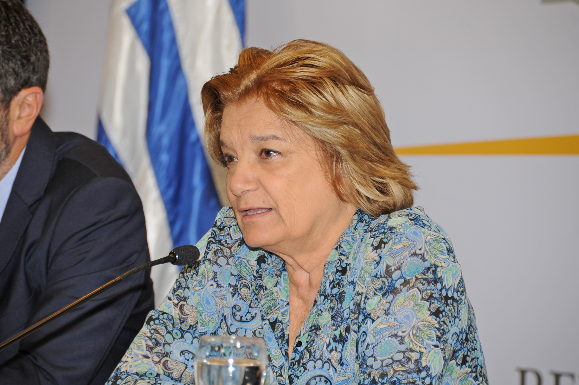 Ministra de Vivienda, Ordenamiento Territorial y Medio Ambiente, haciendo uso de la palabra