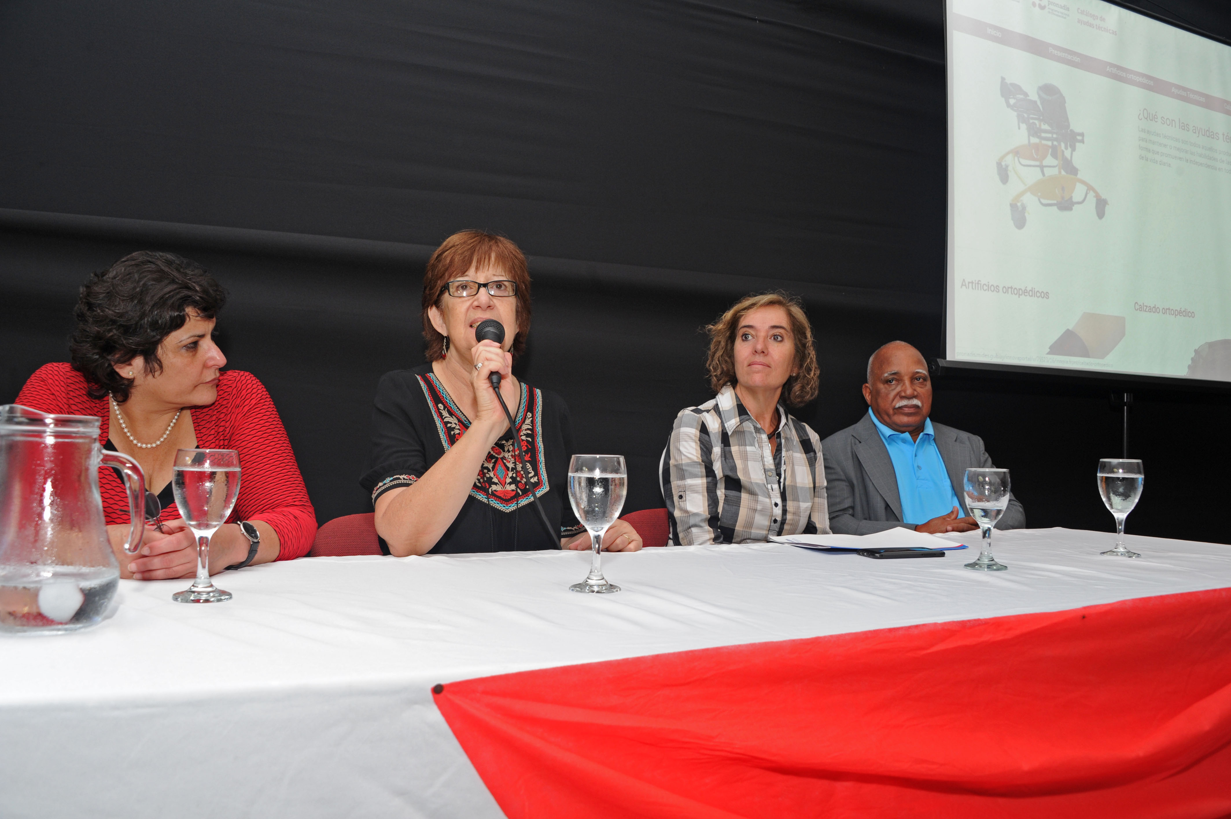 Ministra de Desarrollo Social, Marina Arismendi