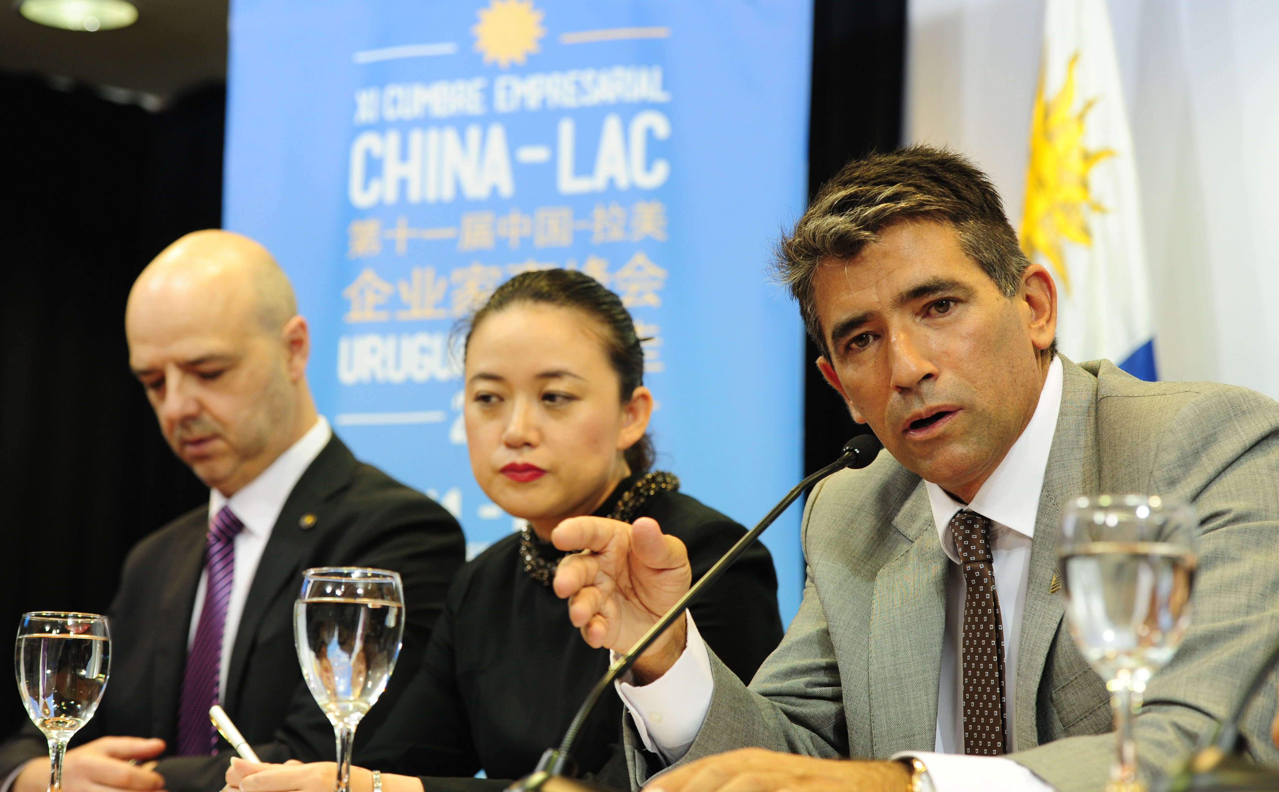 Vicepresidente de la República, Raúl Sendic