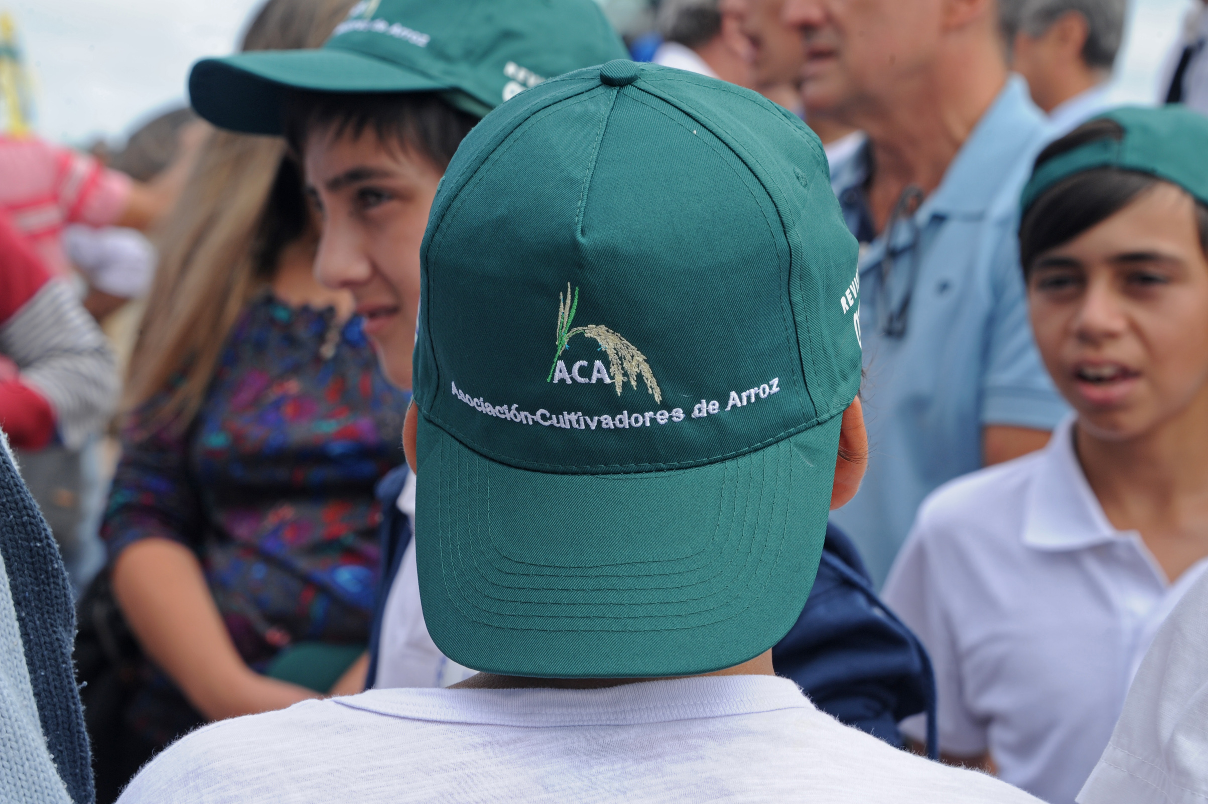 Inauguración de cosecha de arroz 2017