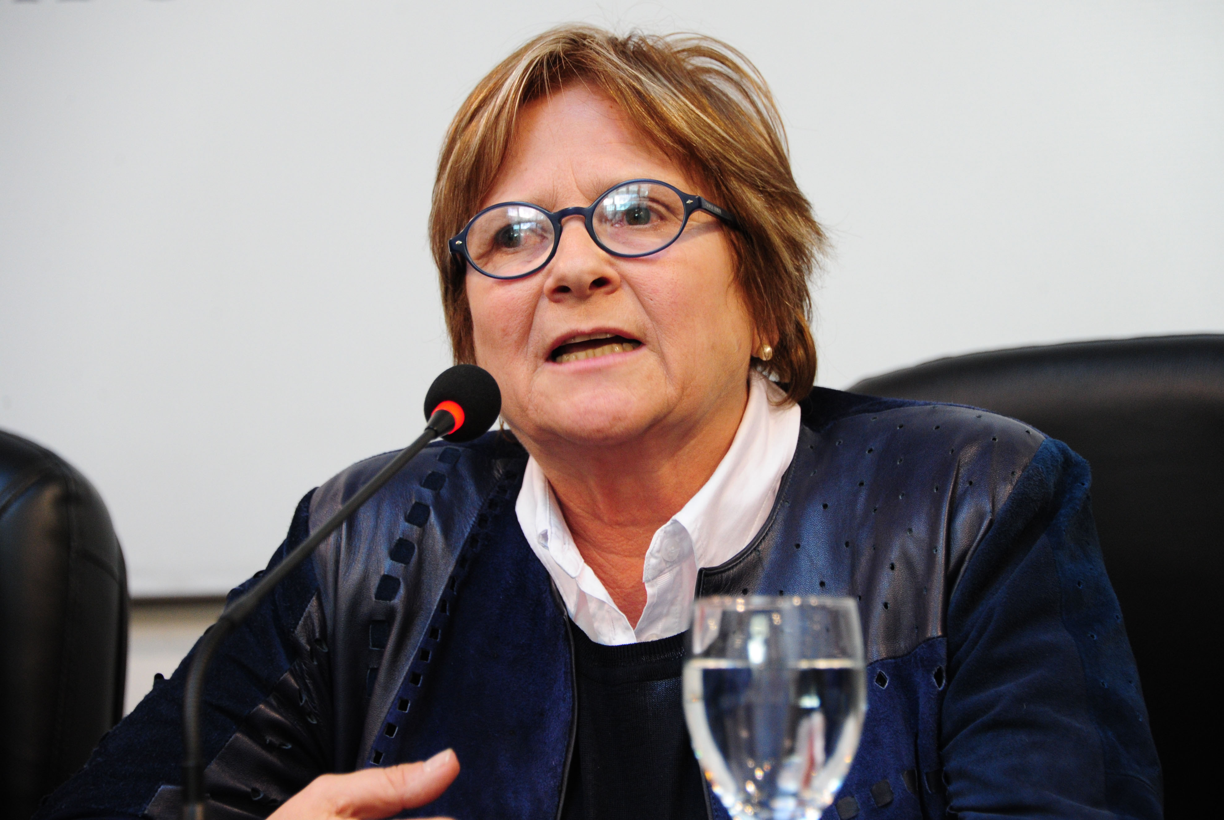 Directora de la DINALI, Inés Bausero
