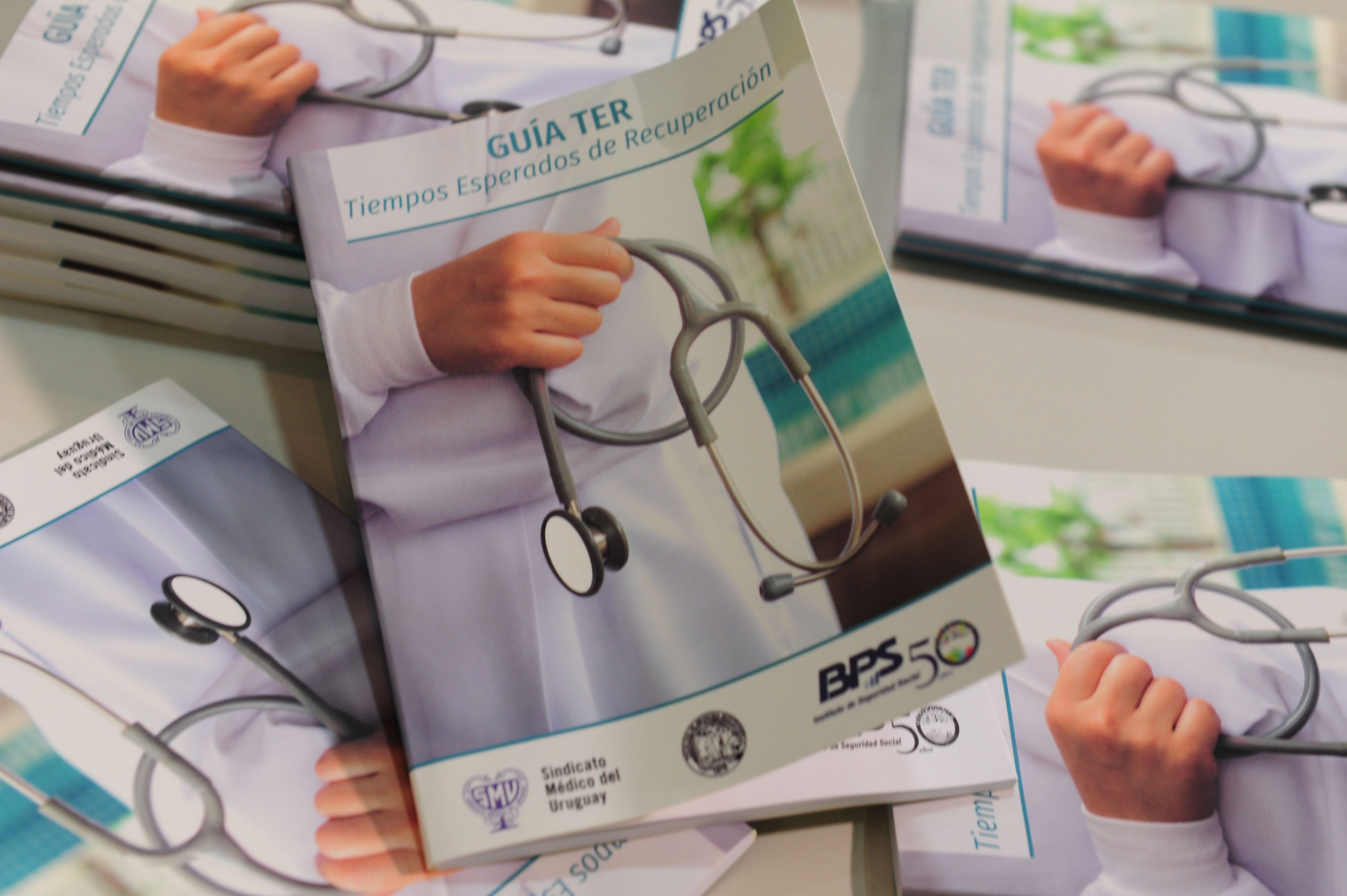Presentación de la “Guía de Tiempo Esperado de Recuperación” (TER)