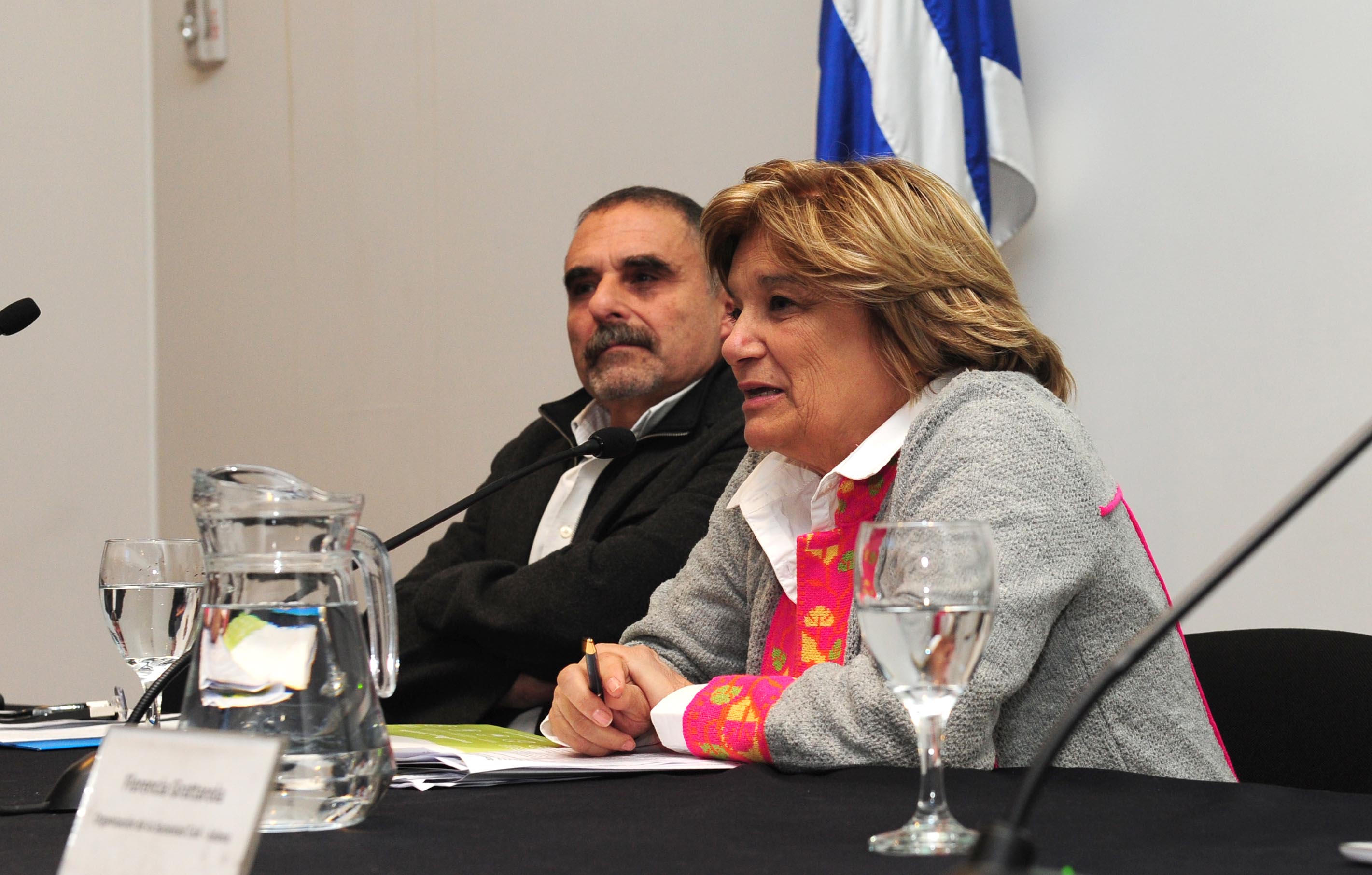 Ministra de Vivienda, Ordenamiento Territorial y Medio Ambiente, Eneida De León, haciendo uso de la palabra