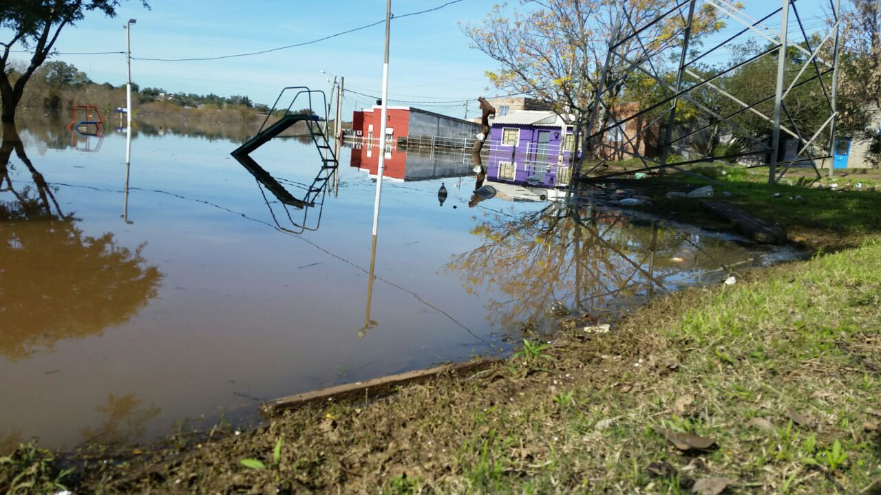 Algunas imágenes de la crecida del río en Salto.