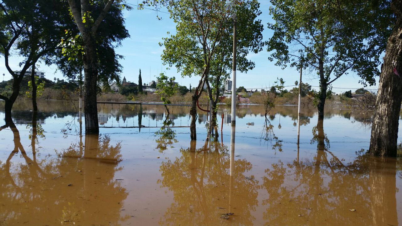 Algunas imágenes de la crecida del río en Salto.
