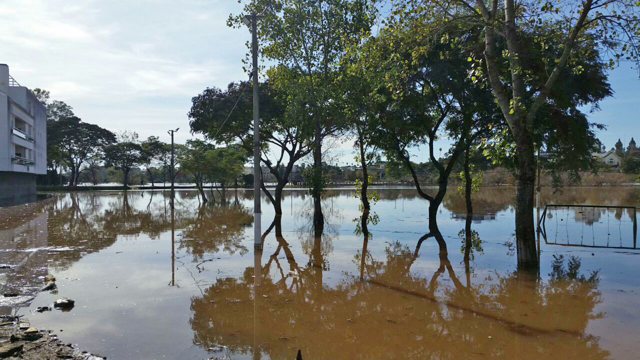 Algunas imágenes de la crecida del río en Salto.