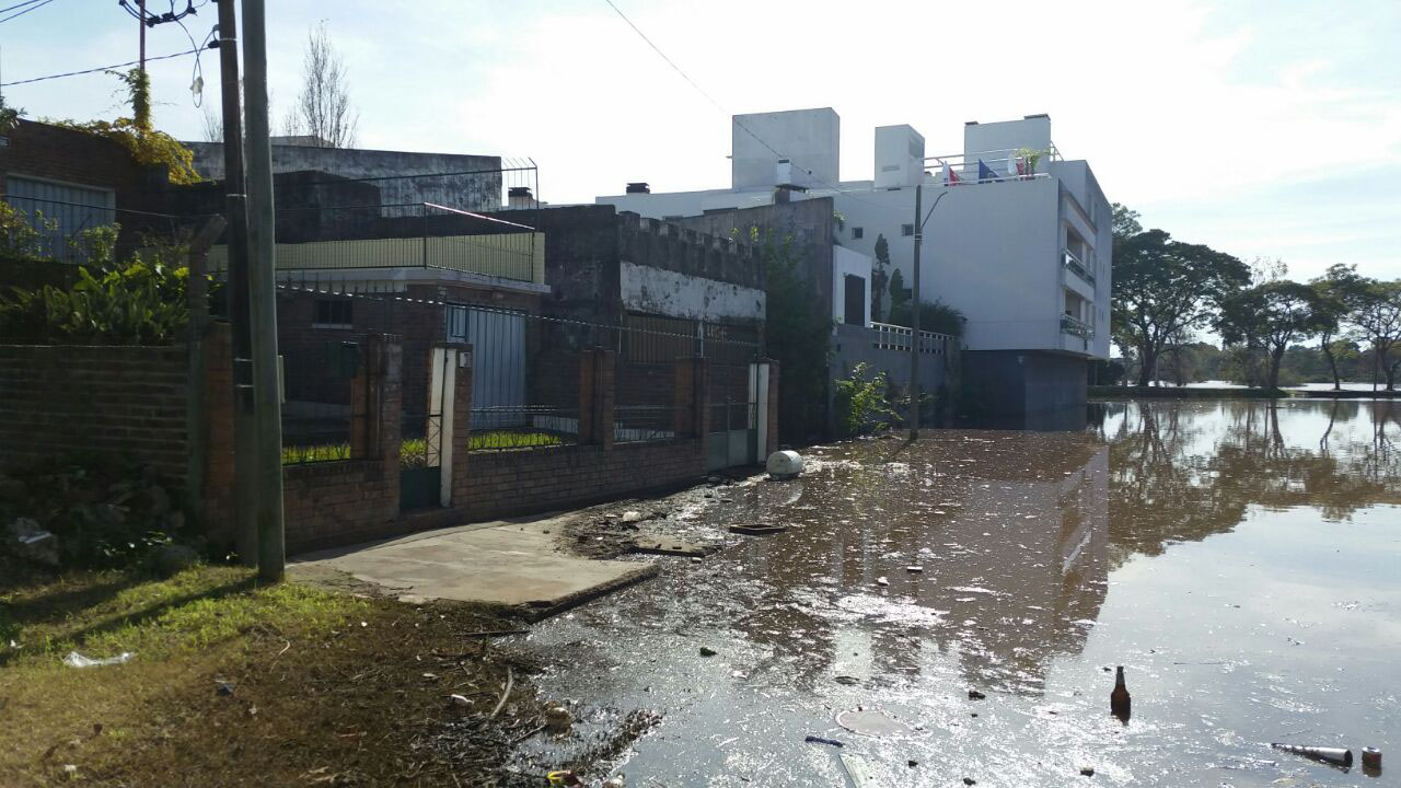 Algunas imágenes de la crecida del río en Salto.