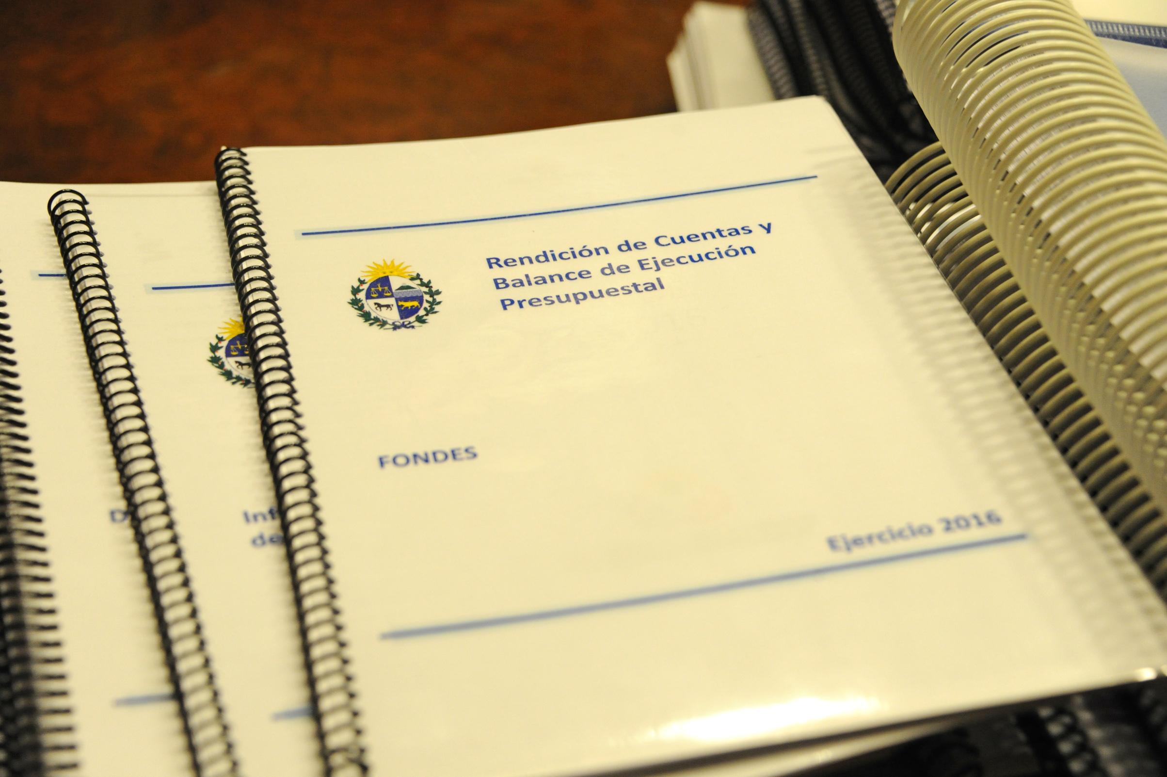 Entrega del proyecto de Rendición de Cuentas al Parlamento