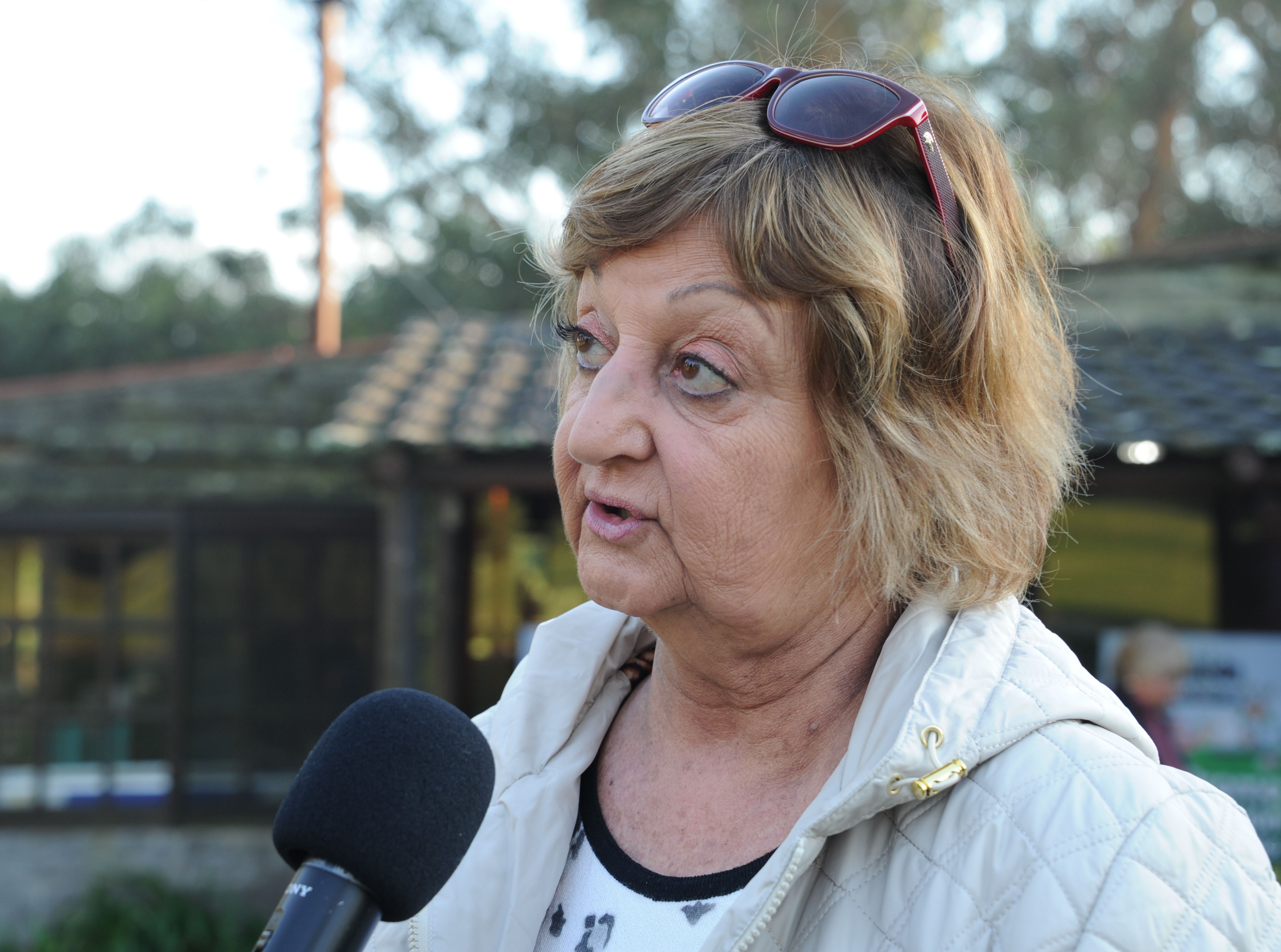 Ministra Liliam Kechichian dialoga con la Secretaría de Comunicación