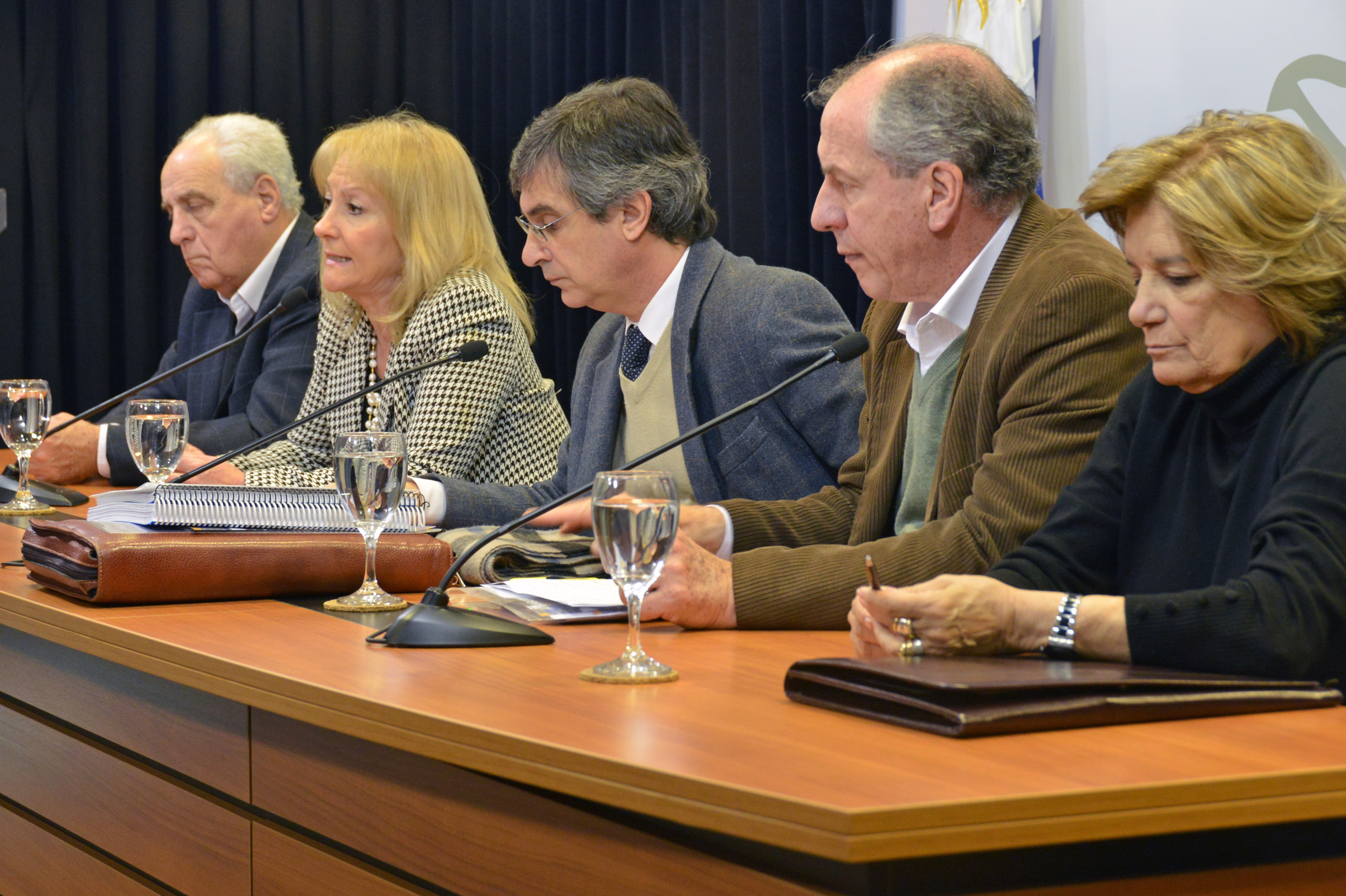 Ministra Carolina Cosse, dirigiéndose a los presentes