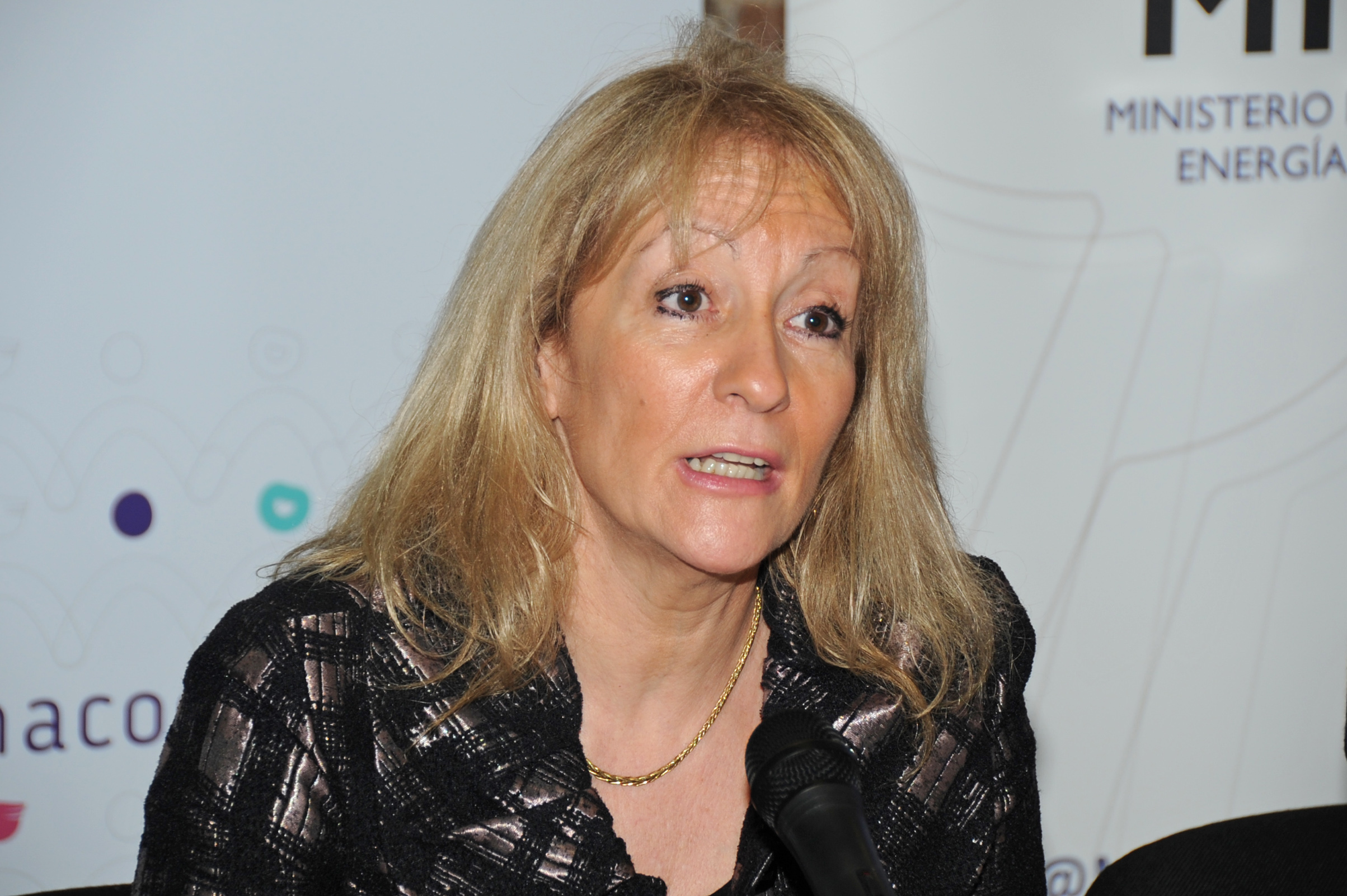 Ministra Carolina Cosse, dirigiéndose a los presentes