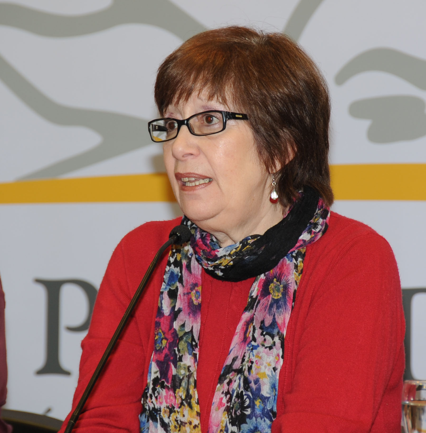 Ministra de Desarrollo Social, Marina Arismendi