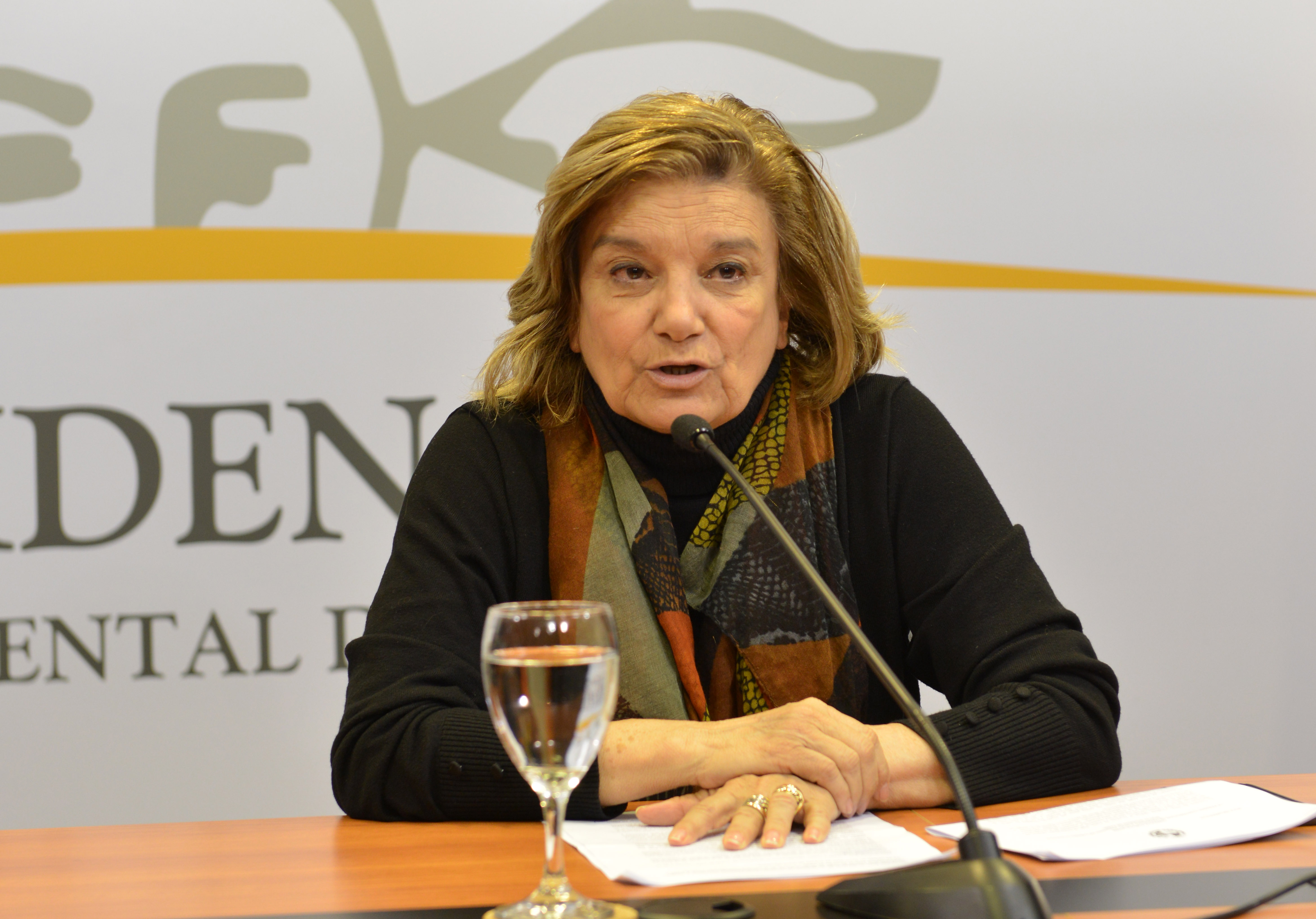 Ministra de Vivienda, Eneida de León