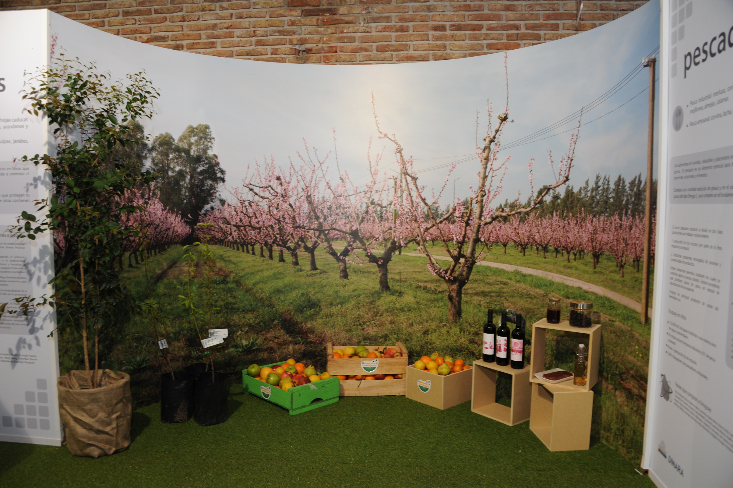 Estand del Ministerio de Ganadería, Agricultura y Pesca en Expo Prado