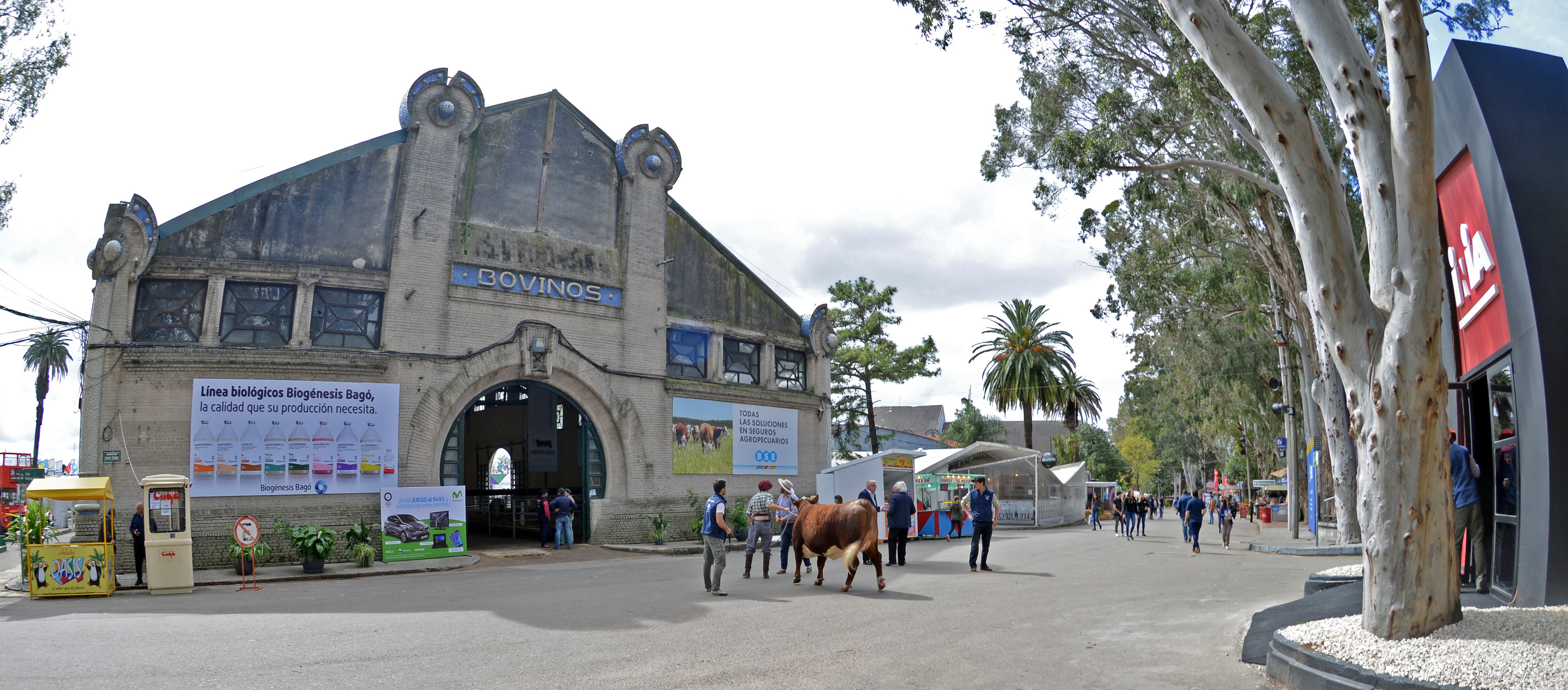 Expo Prado 2017