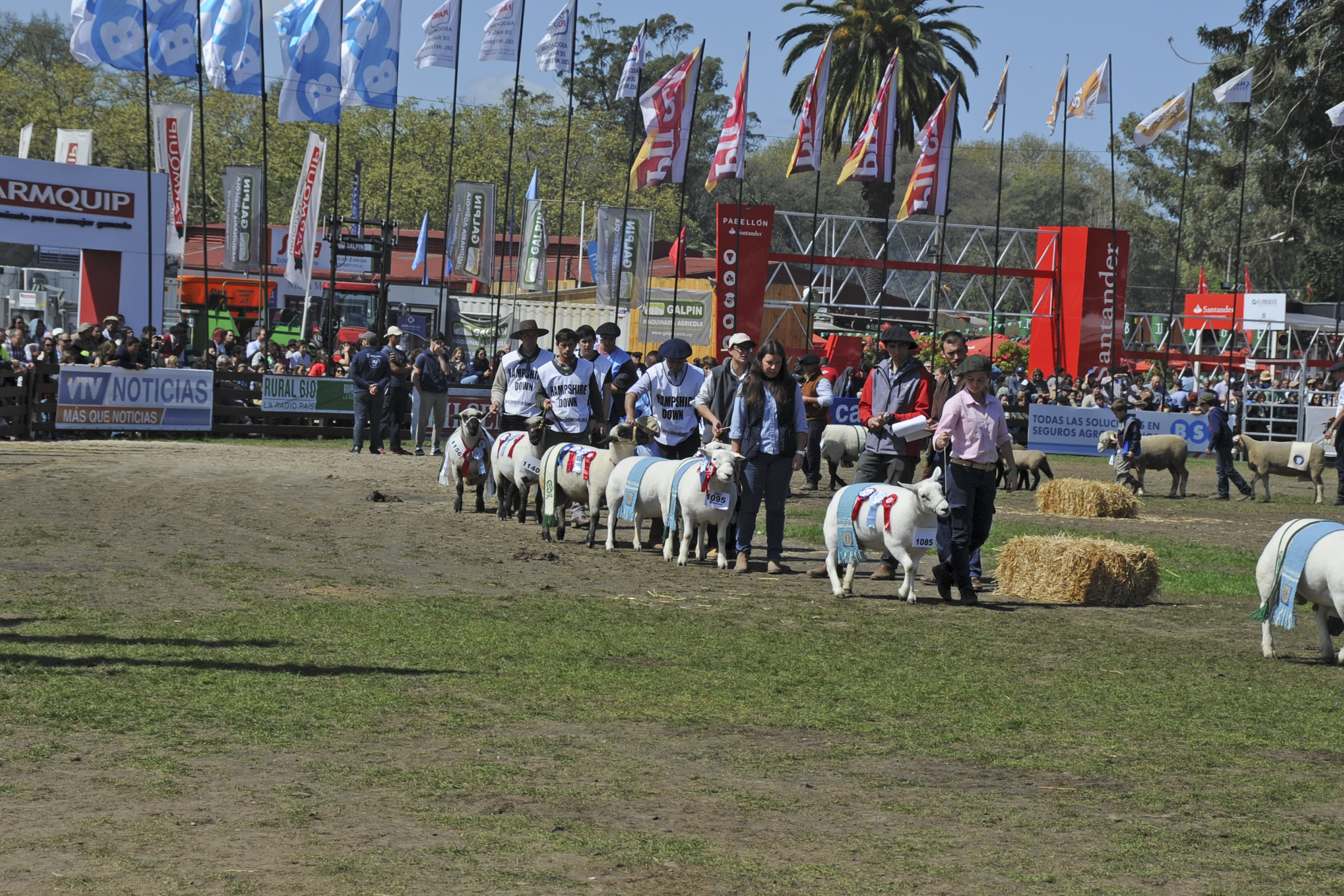 Cierre de la Expo Prado 2017