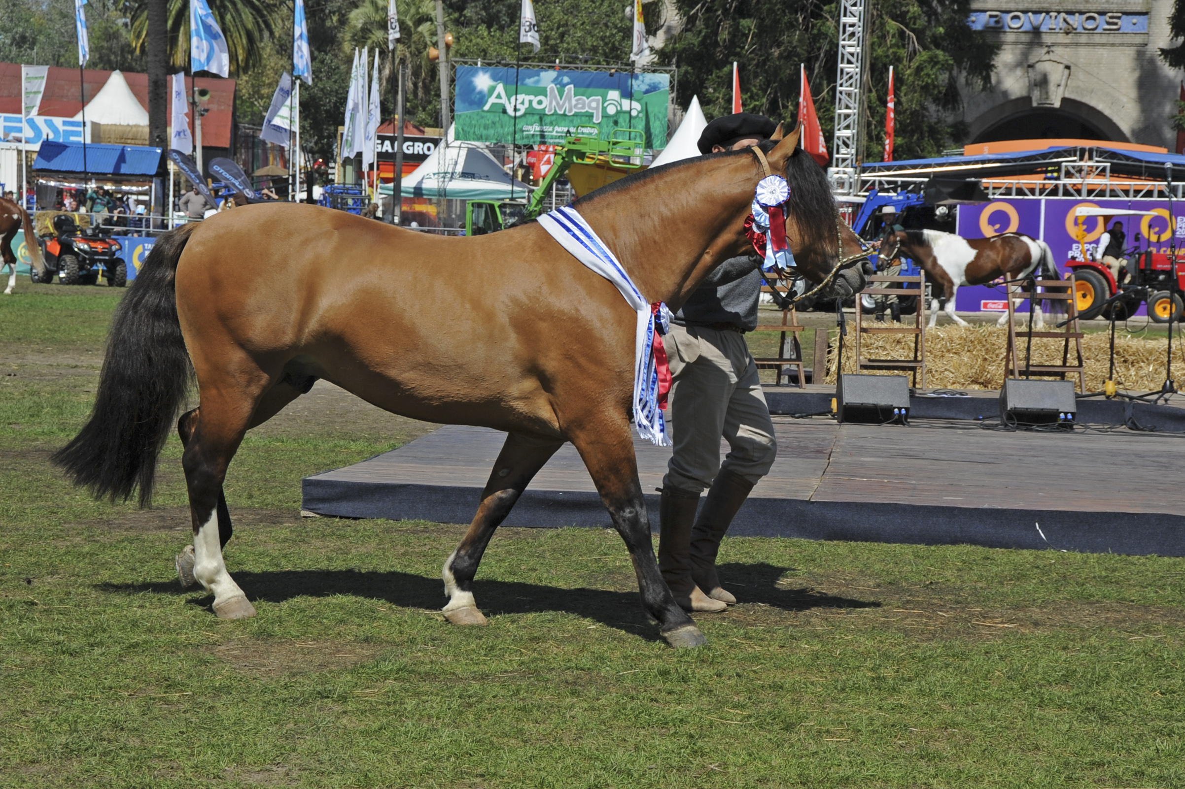 Cierre de la Expo Prado 2017